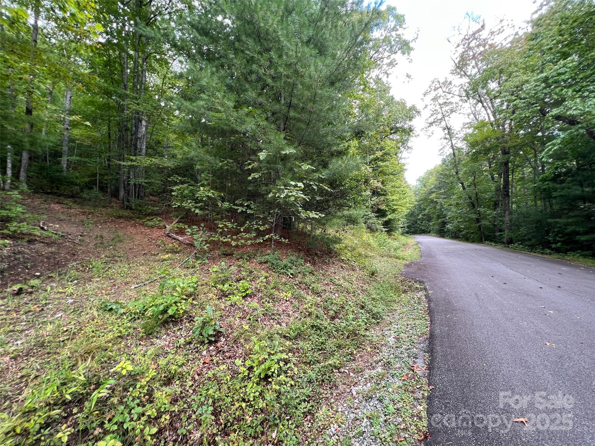 124 Green Hollow Lane Property Photo