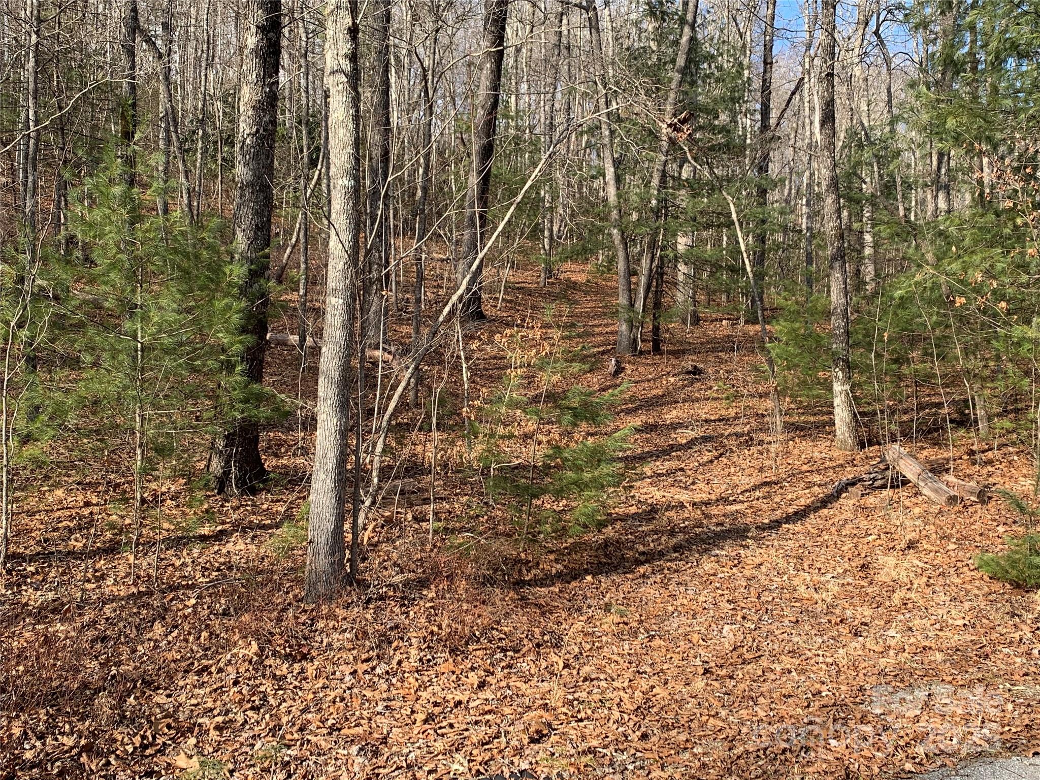 124 Green Hollow Lane Property Photo 2