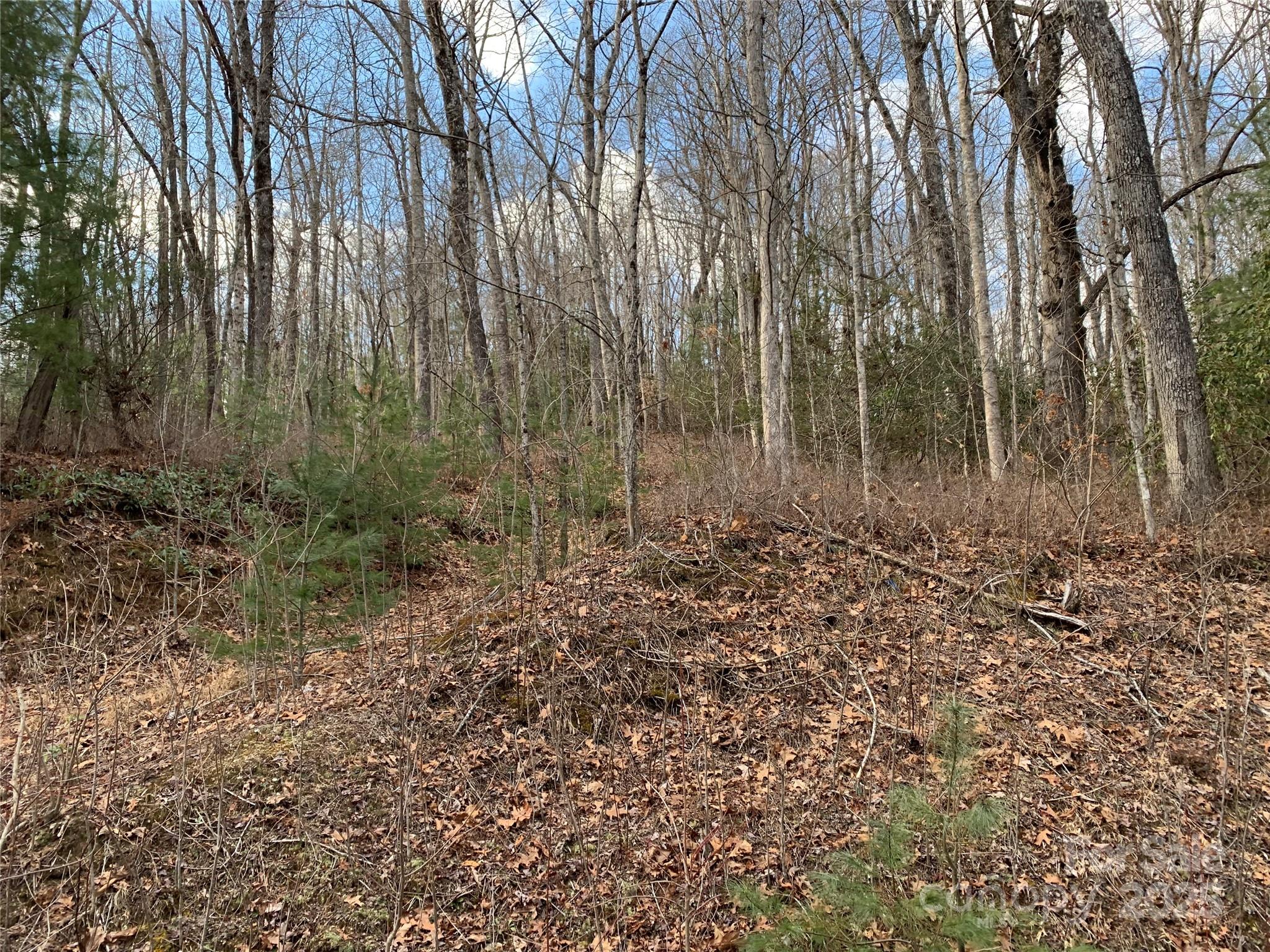 124 Green Hollow Lane Property Photo 3