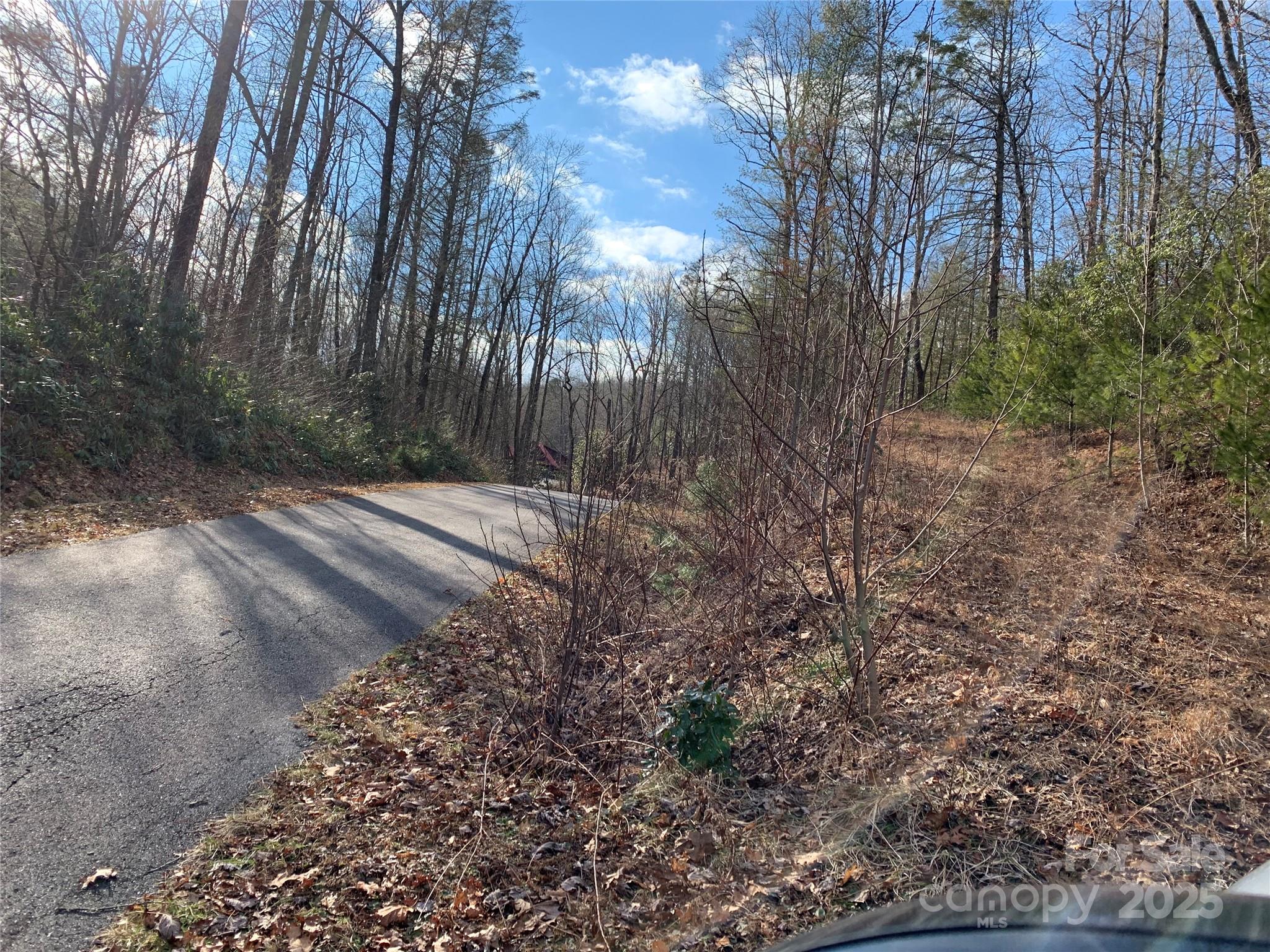 124 Green Hollow Lane Property Photo 4