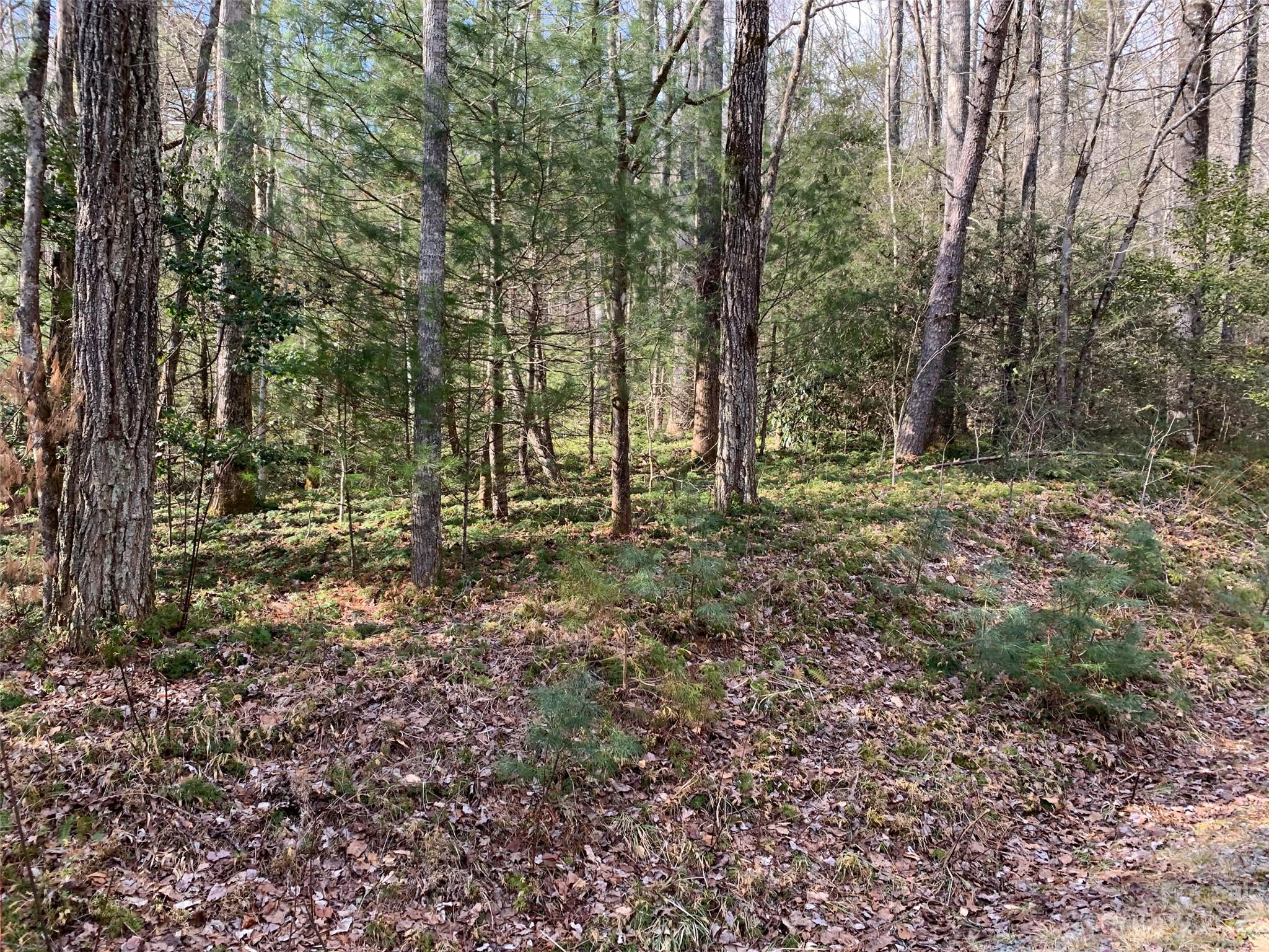126 Green Hollow Lane Property Photo 1