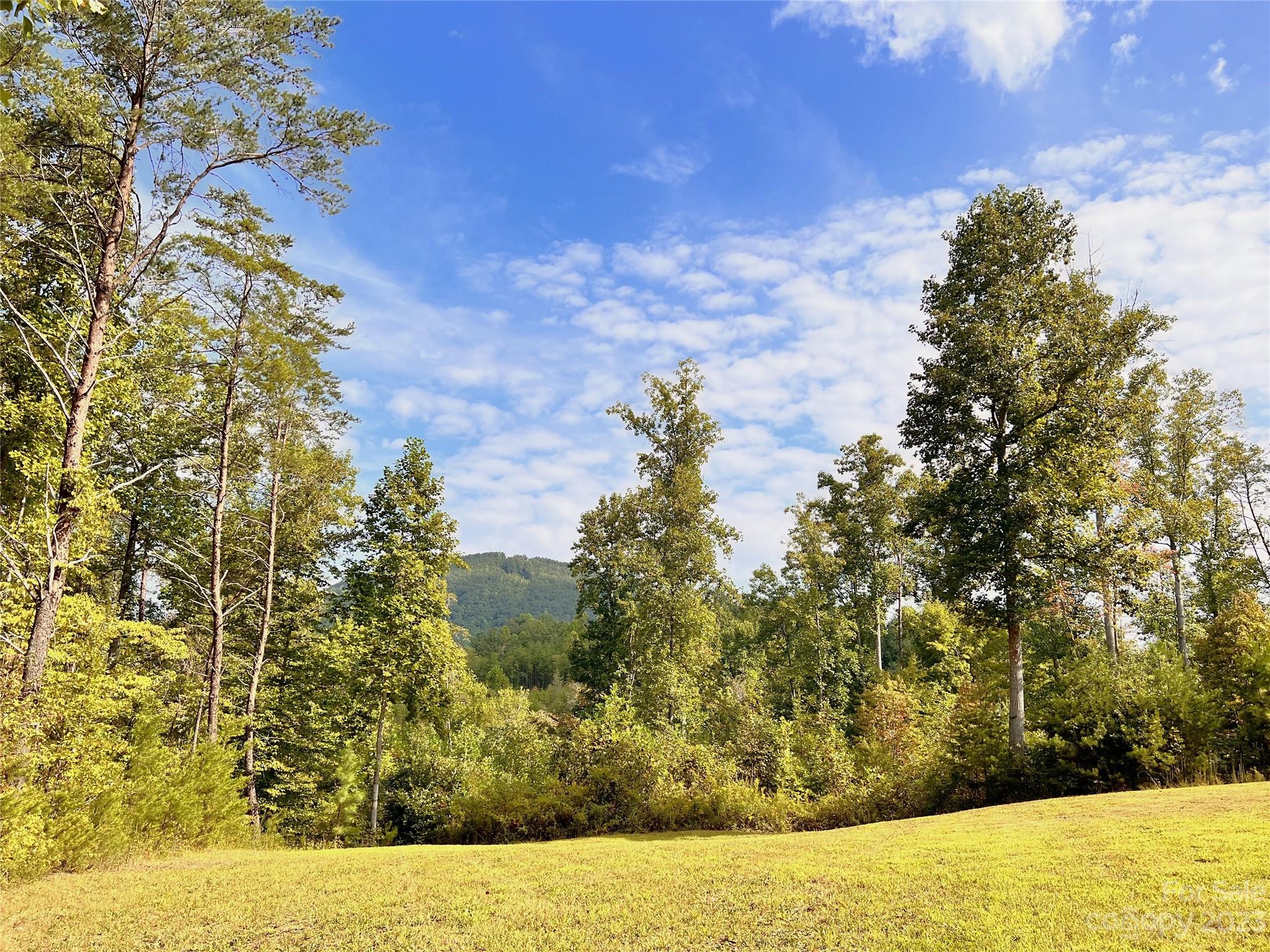 2673 Cove Road Property Photo 3