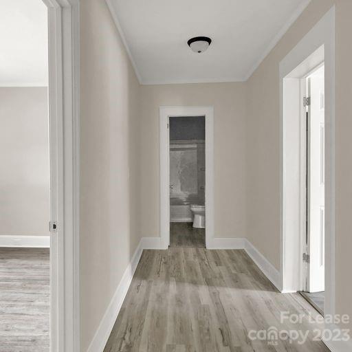 701 Cotton Street Property Photo 8