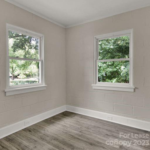 701 Cotton Street Property Photo 9