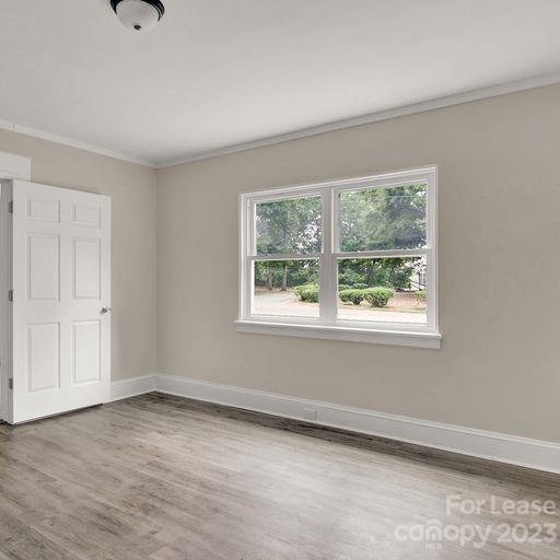 701 Cotton Street Property Photo 13