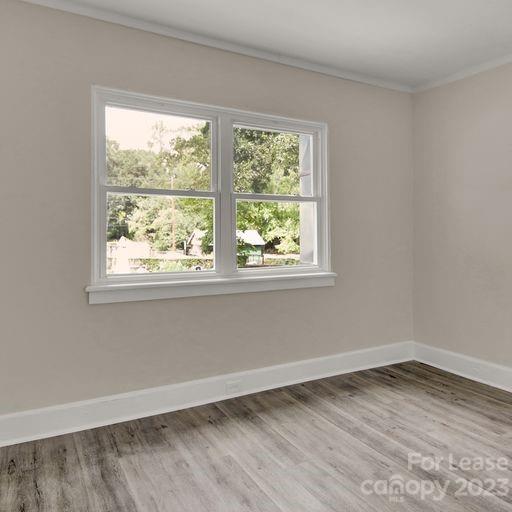 701 Cotton Street Property Photo 18