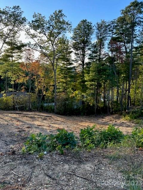 70 Crossings Circle Property Photo 3
