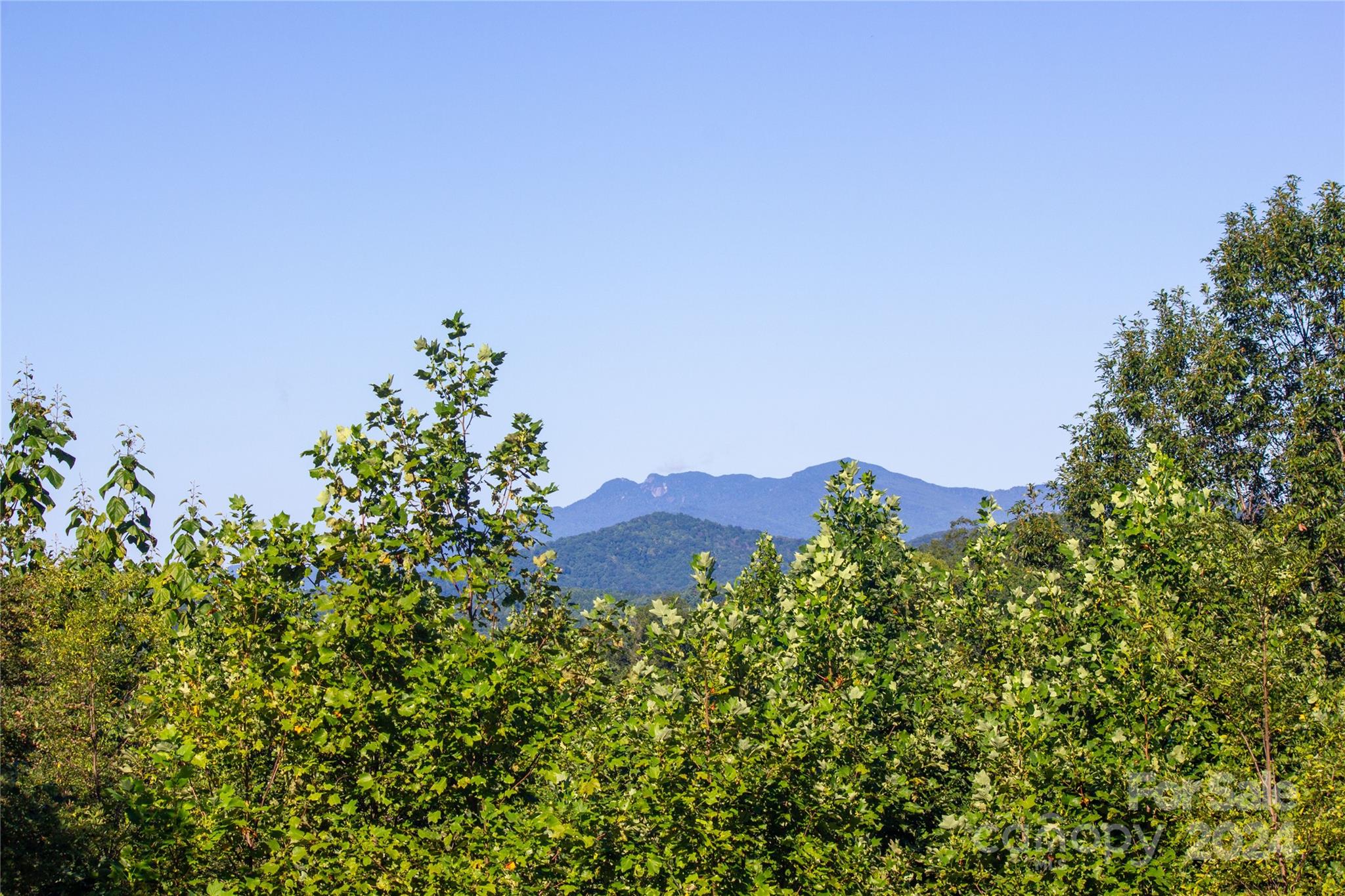 Lot# 134 Fire Crest Lane 134 Property Photo 1