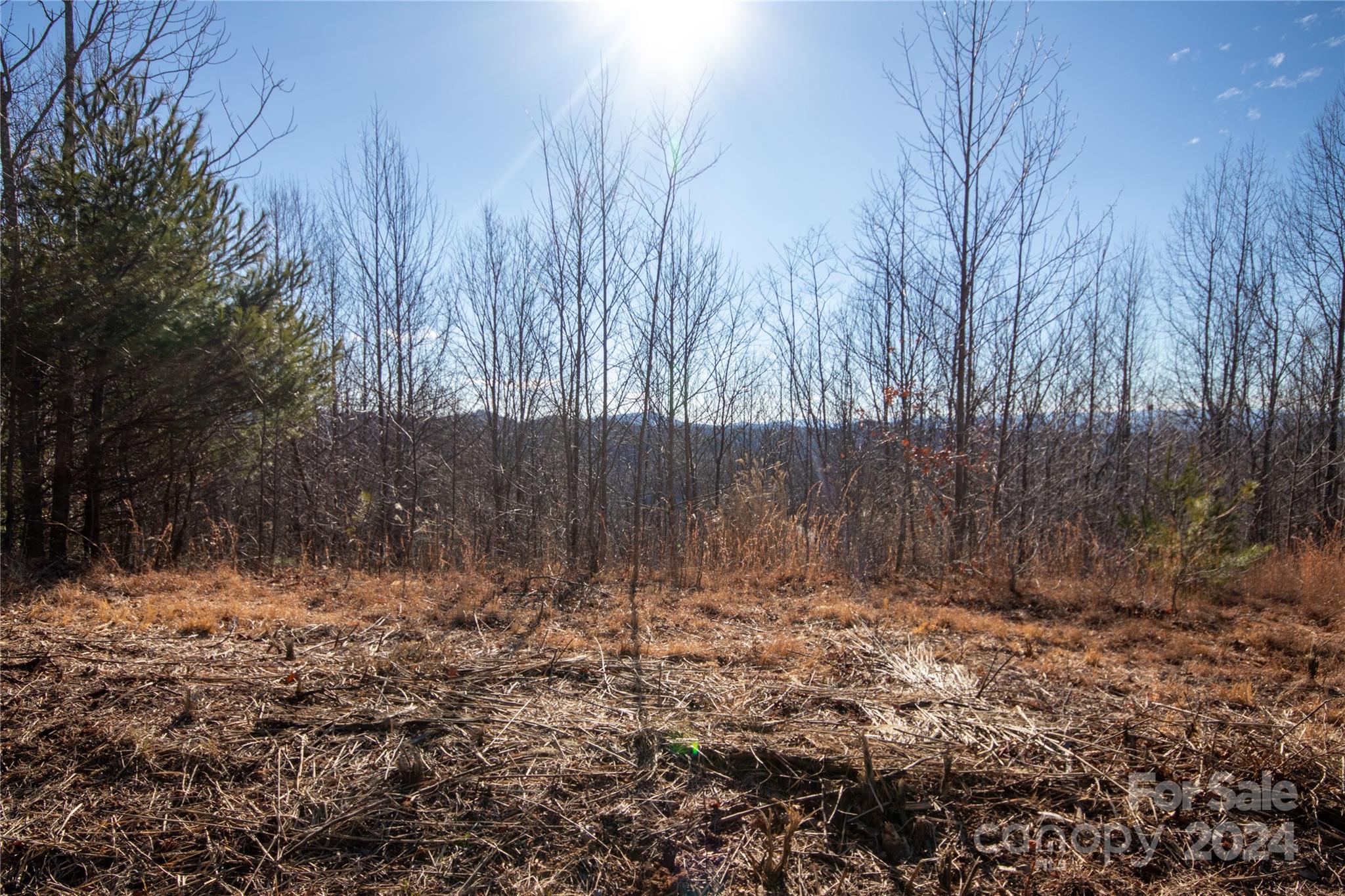 Lot# 134 Fire Crest Lane 134 Property Photo 18
