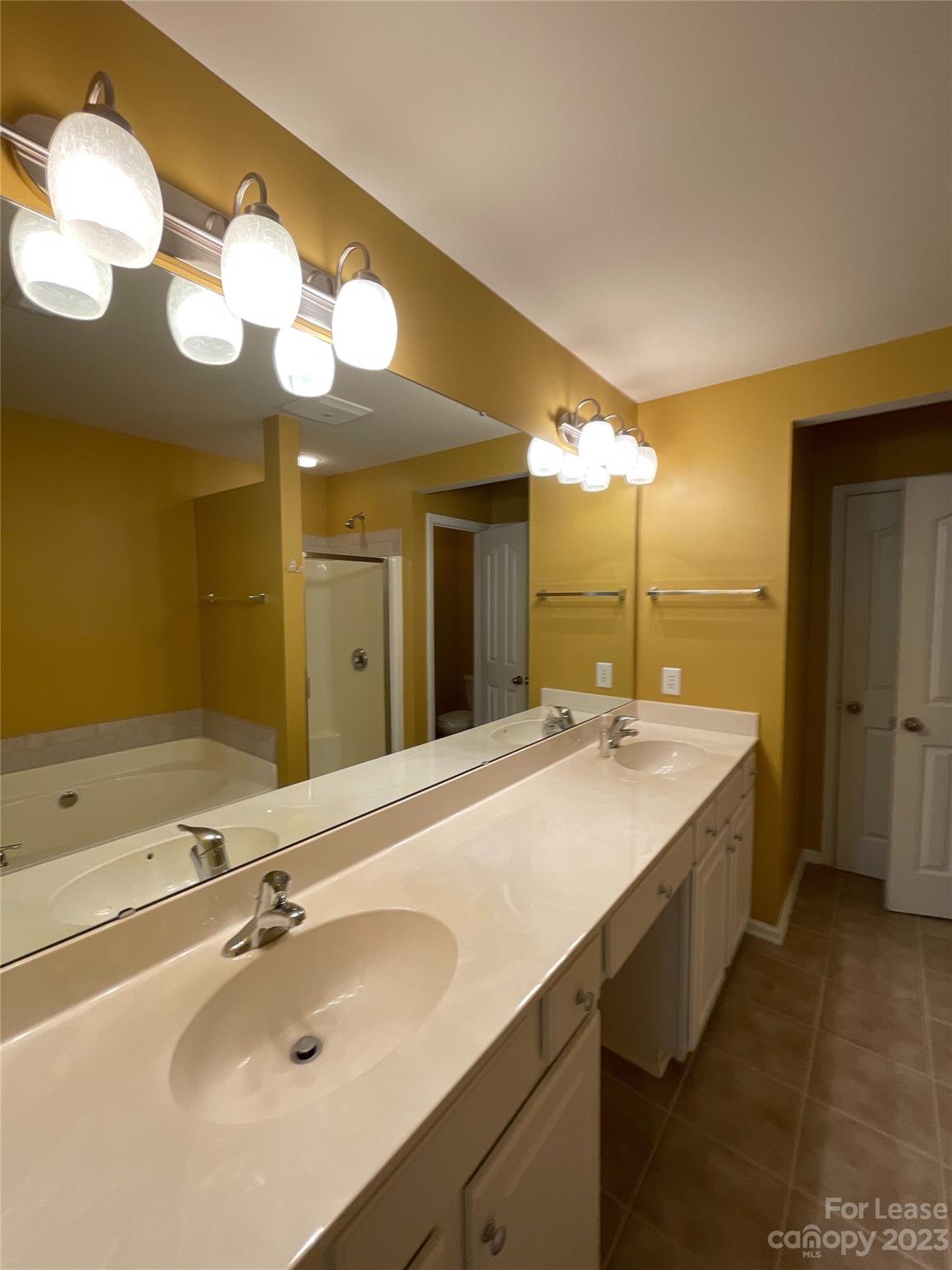 10333 Blakeney Preserve Drive Property Photo 8