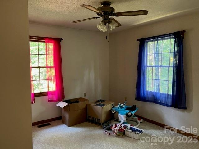 2752 Old Highway 221 None Property Photo 13