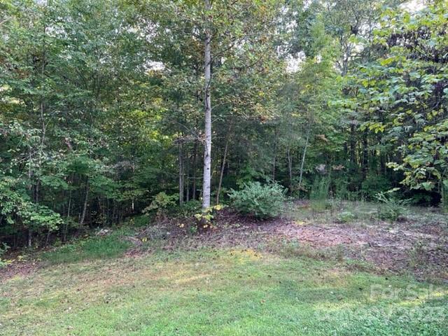 2752 Old Highway 221 None Property Photo 46