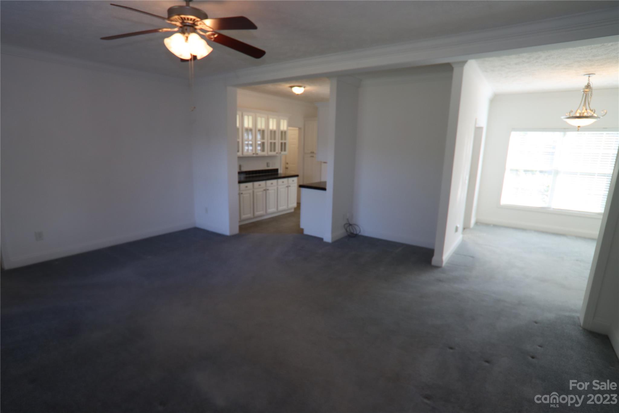 10737 Kingsview Drive Property Photo 3