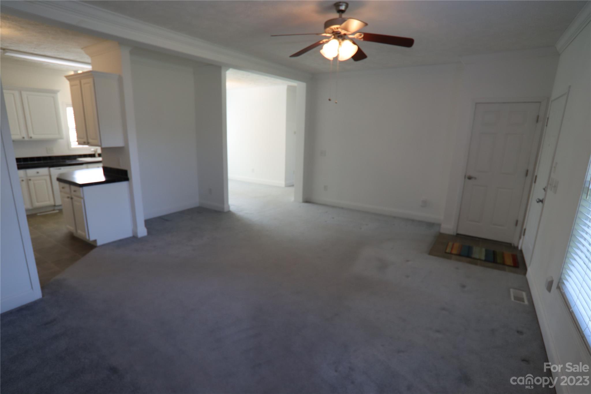 10737 Kingsview Drive Property Photo 10