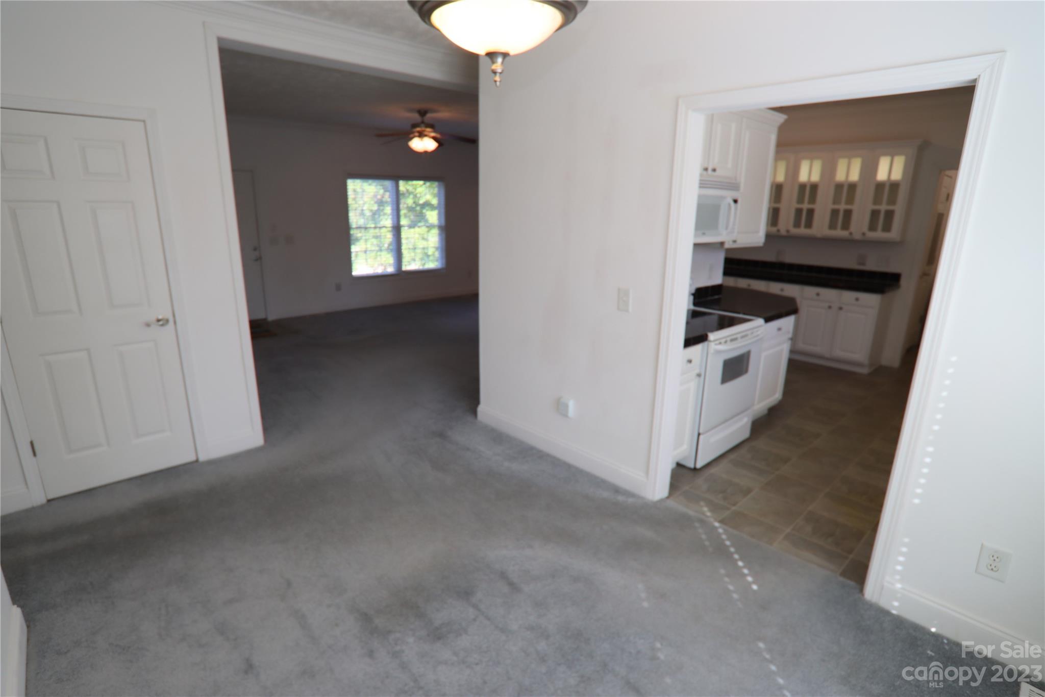 10737 Kingsview Drive Property Photo 11