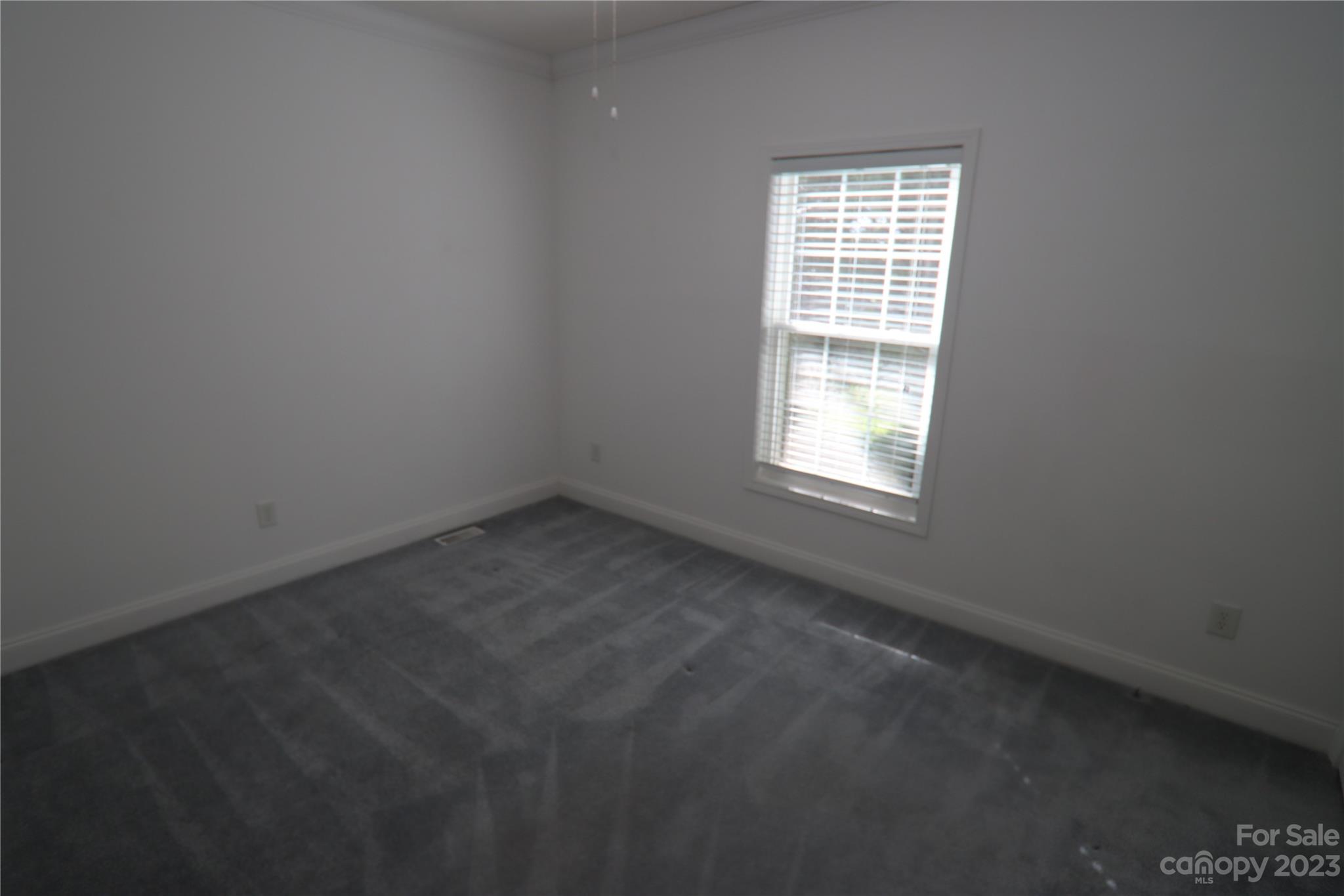 10737 Kingsview Drive Property Photo 19
