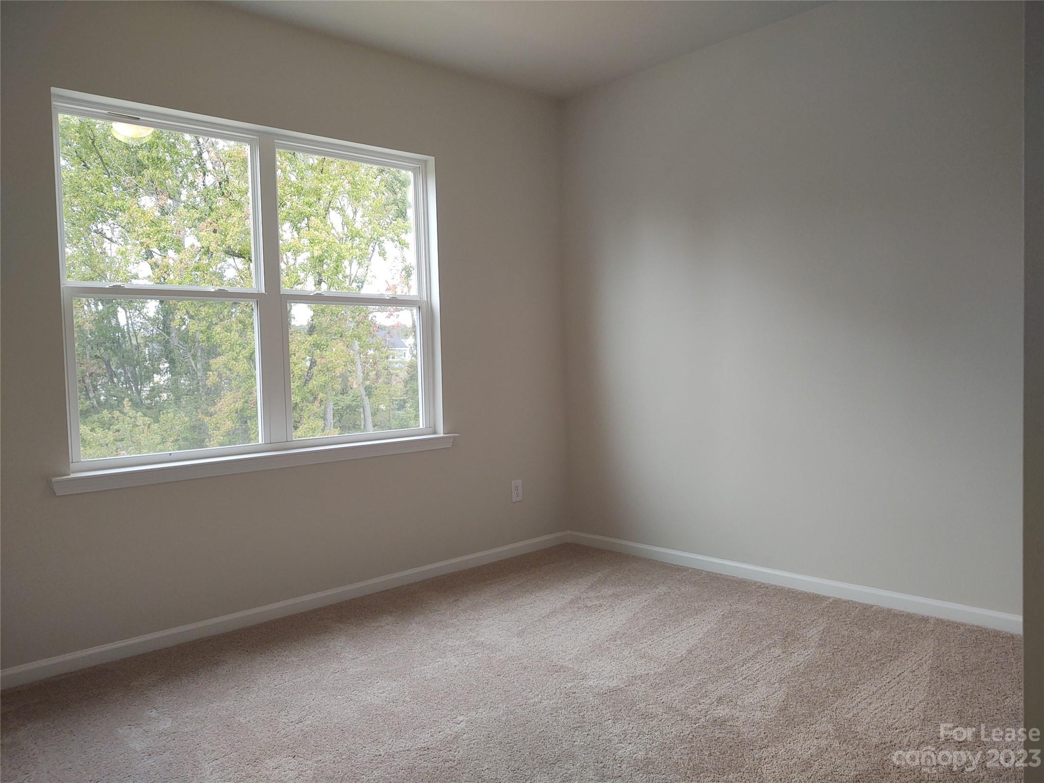 8830 Connover Hall Avenue Property Photo 16