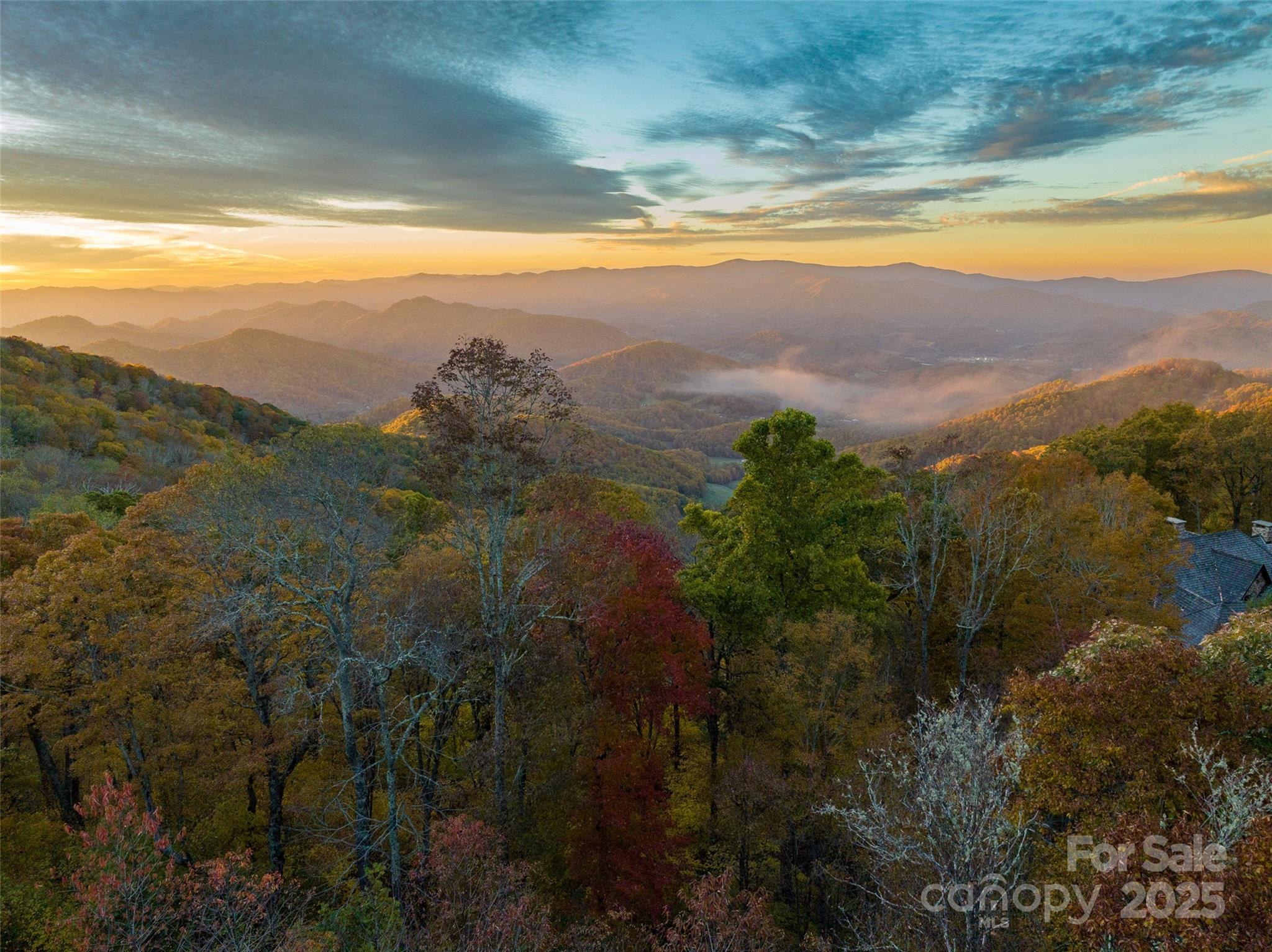 616 Old Growth Forest Road Property Photo 2