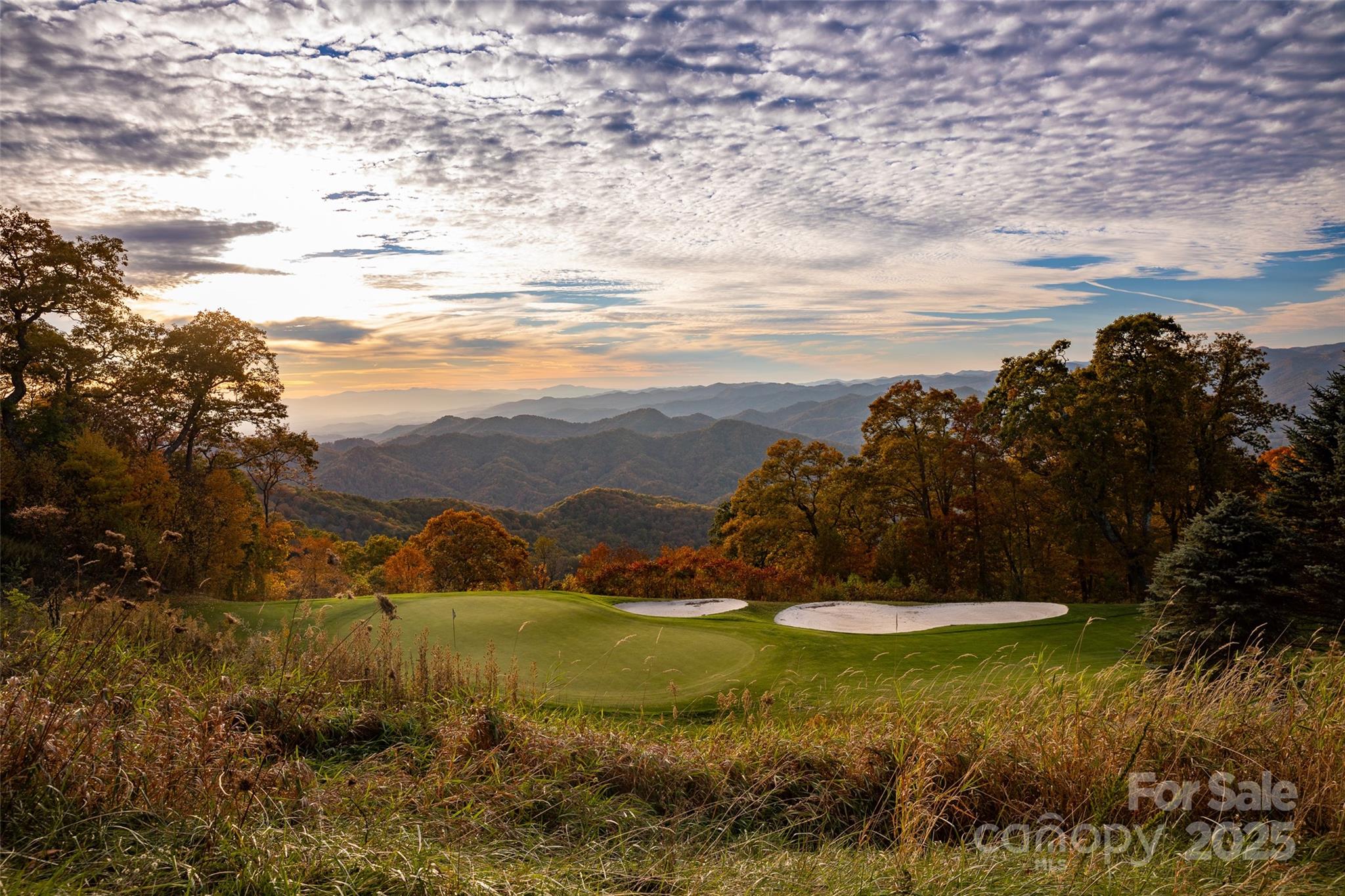 616 Old Growth Forest Road Property Photo 43
