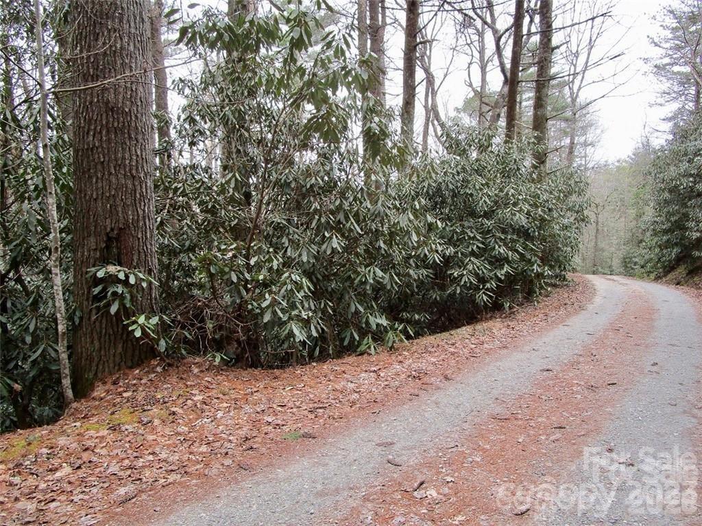 Lot #22 Toxaway Falls Drive Property Photo 1