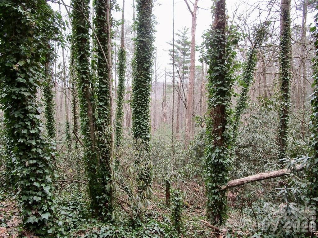 Lot #22 Toxaway Falls Drive Property Photo 4