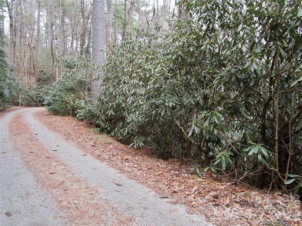 Lot #22 Toxaway Falls Drive Property Photo 5