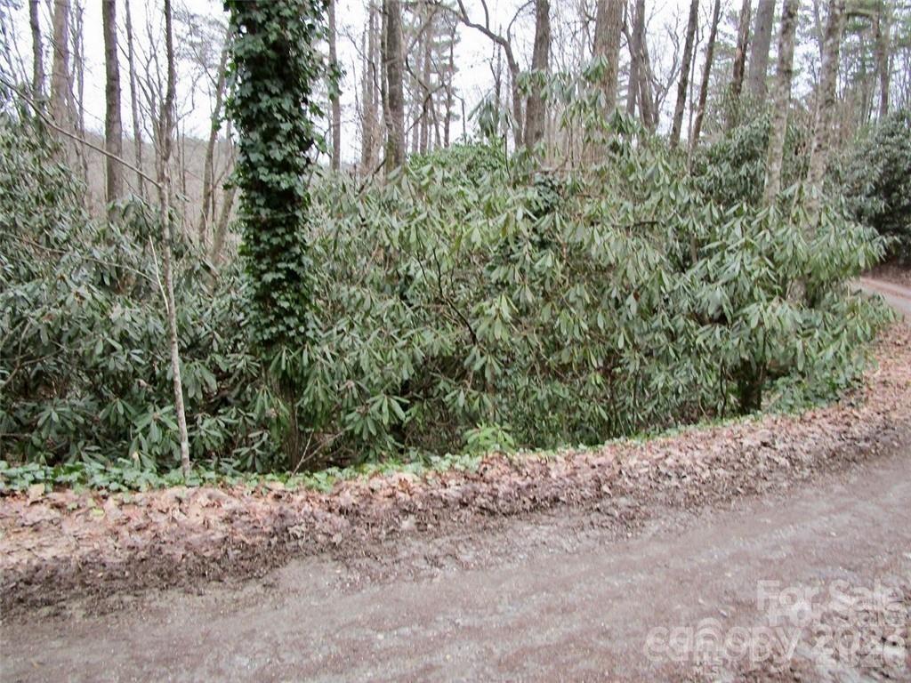 Lot #22 Toxaway Falls Drive Property Photo 6