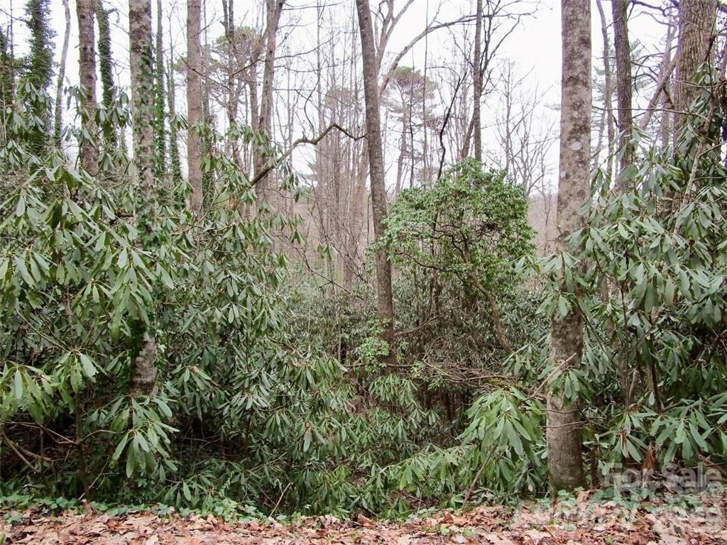 Lot #22 Toxaway Falls Drive Property Photo 11