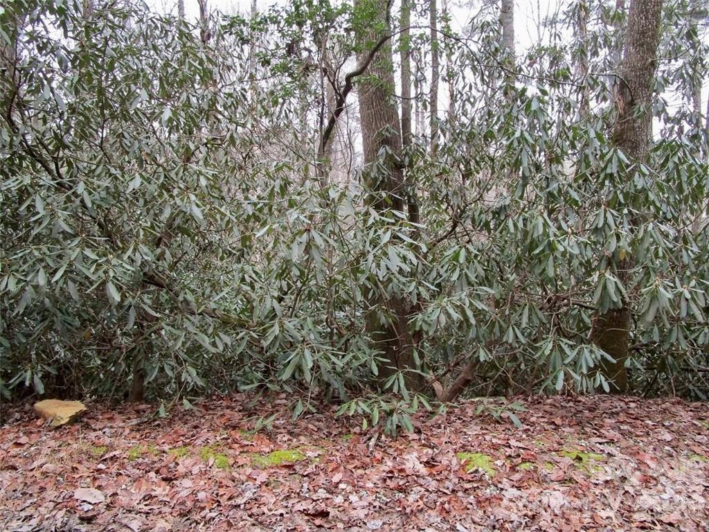 Lot #22 Toxaway Falls Drive Property Photo 12