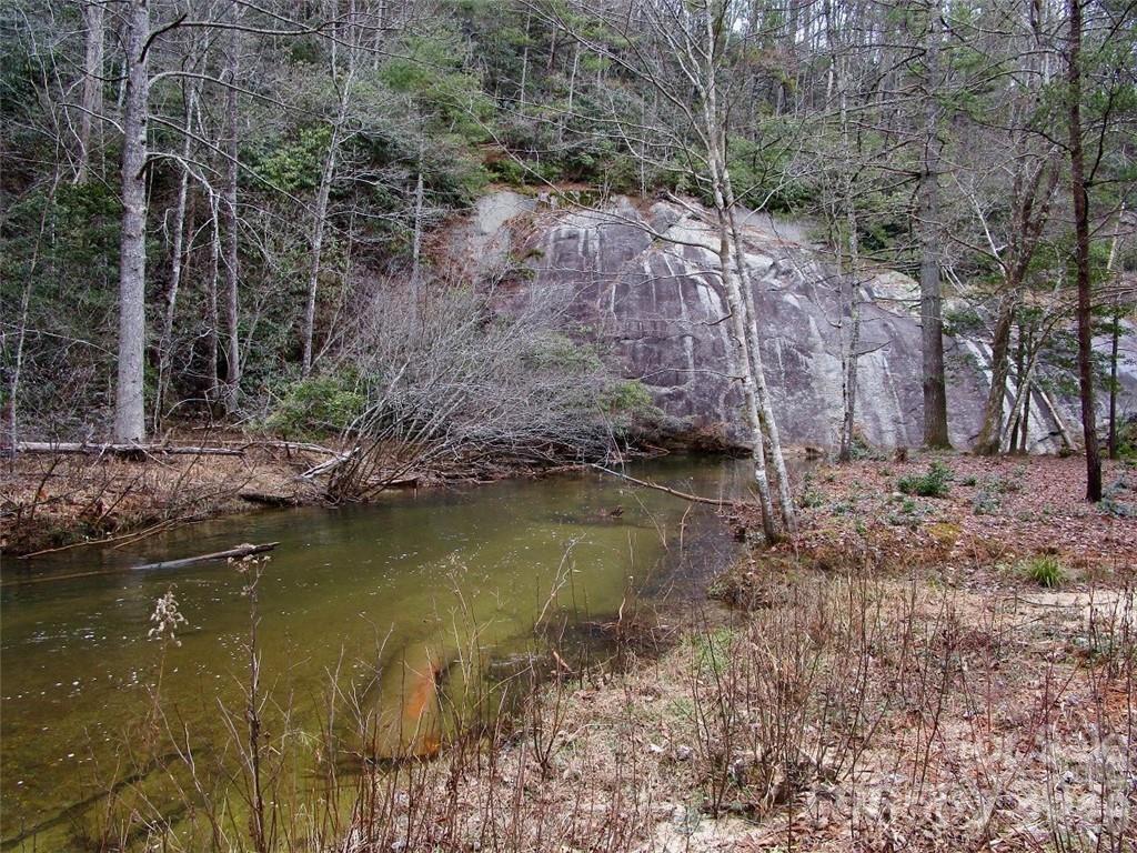 Lot #22 Toxaway Falls Drive Property Photo 21