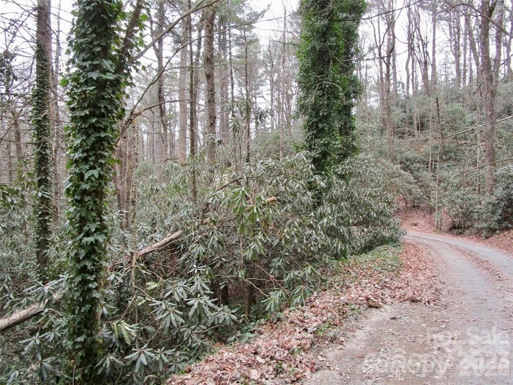 Lot #22 Toxaway Falls Drive Property Photo 26