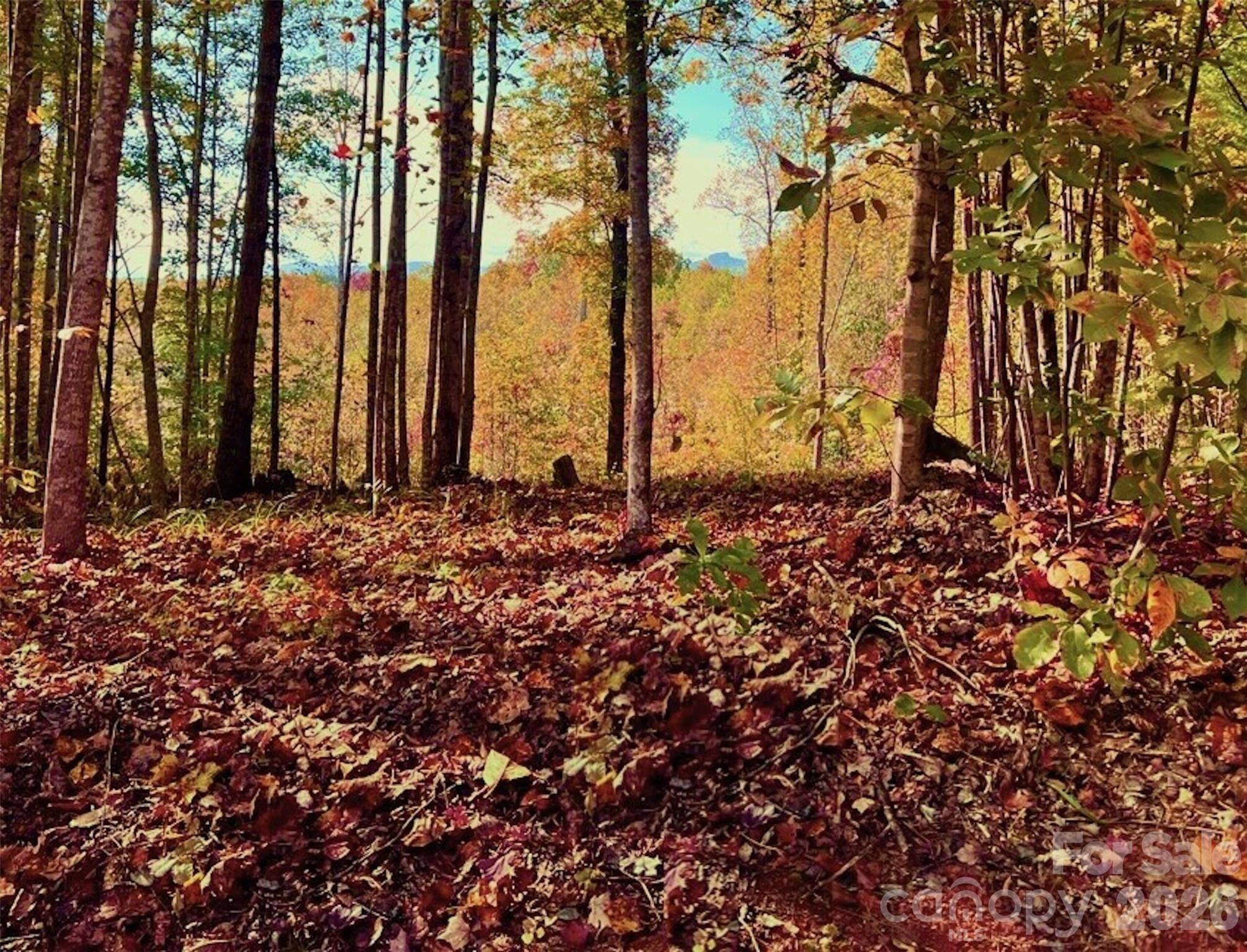 1.85 Acres, Lot 925 High Valley Way 925 Property Photo 5