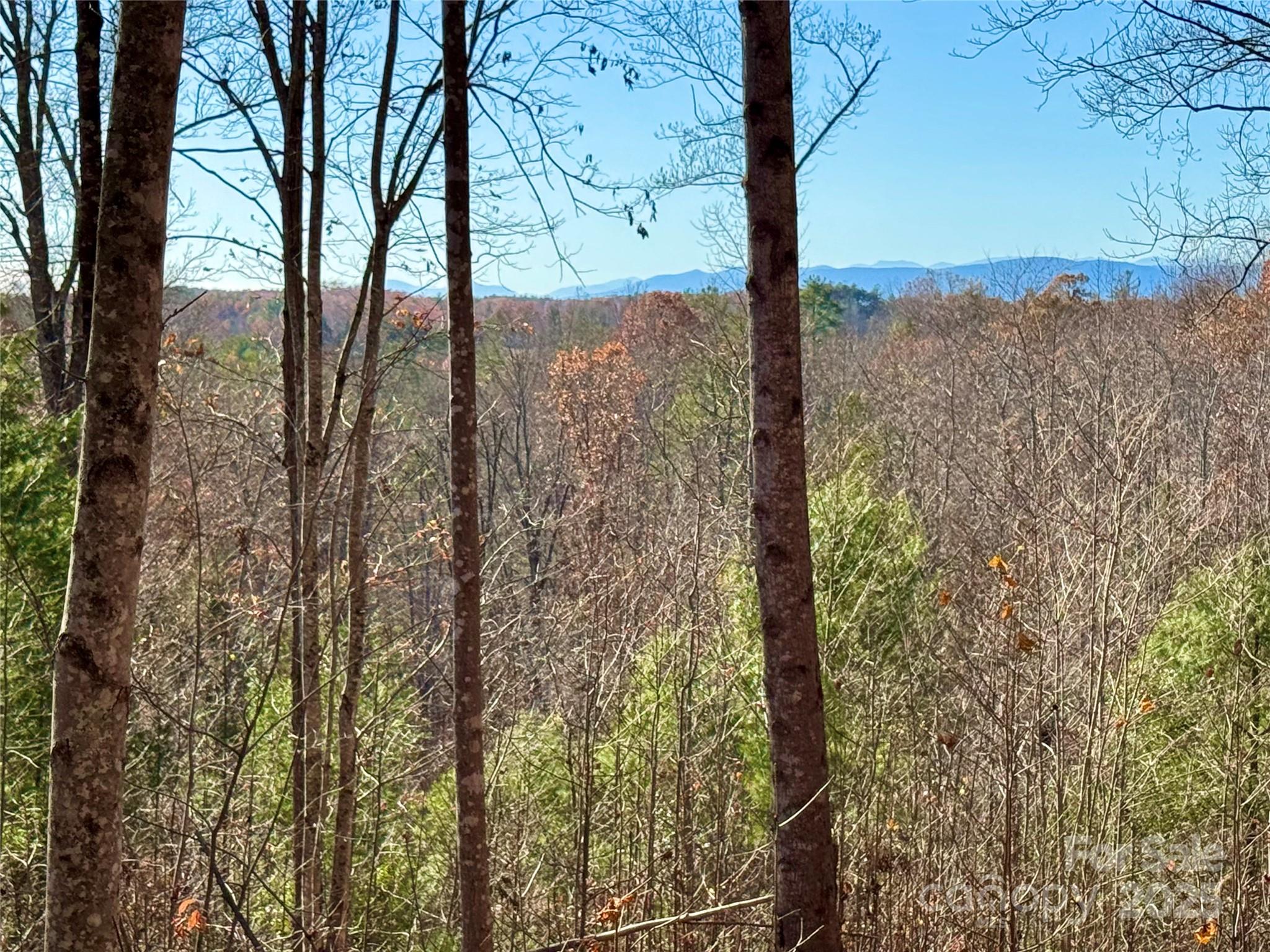 1.85 Acres, Lot 925 High Valley Way 925 Property Photo 6