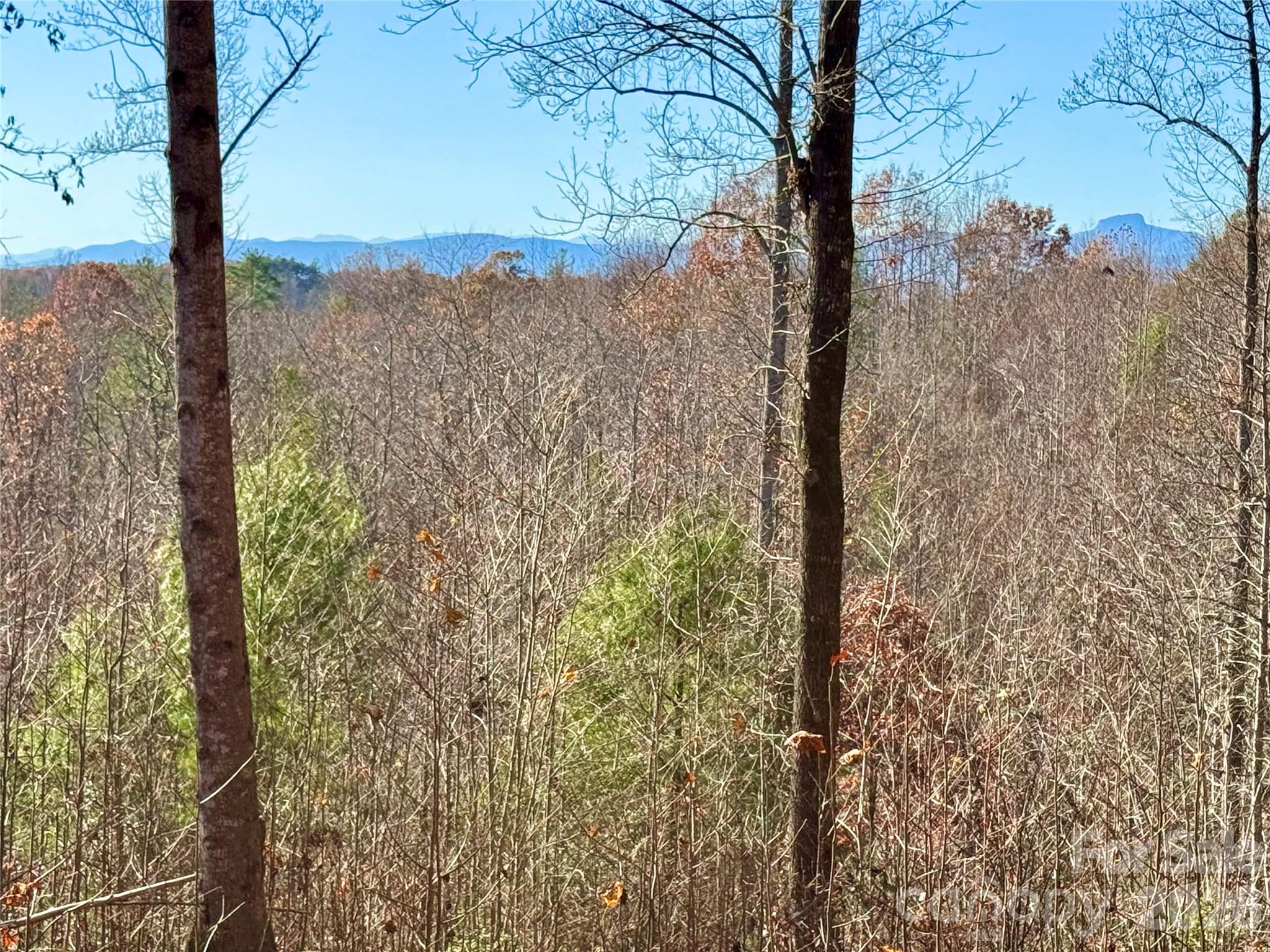 1.85 Acres, Lot 925 High Valley Way 925 Property Photo 6