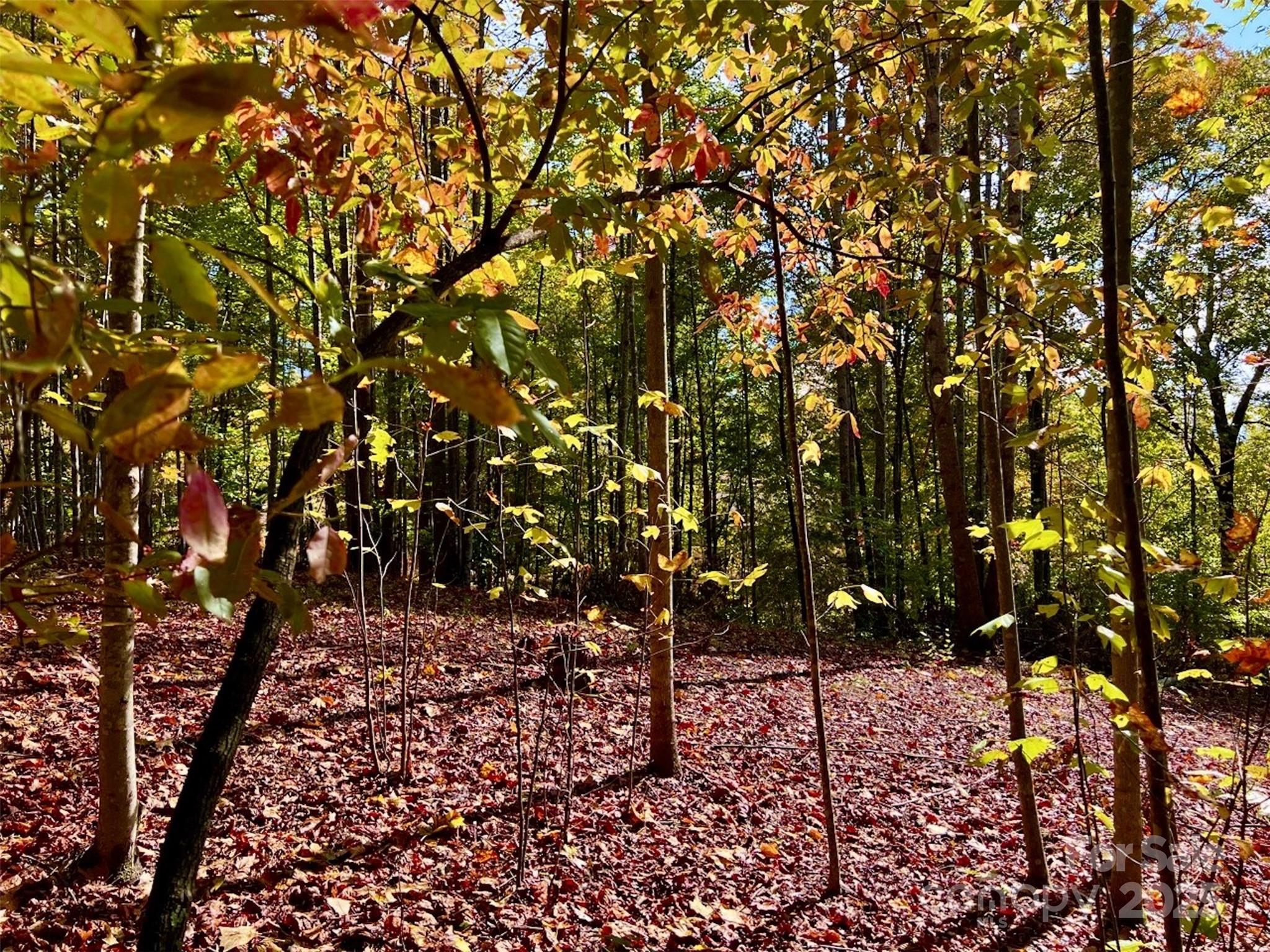1.85 Acres, Lot 925 High Valley Way 925 Property Photo 7