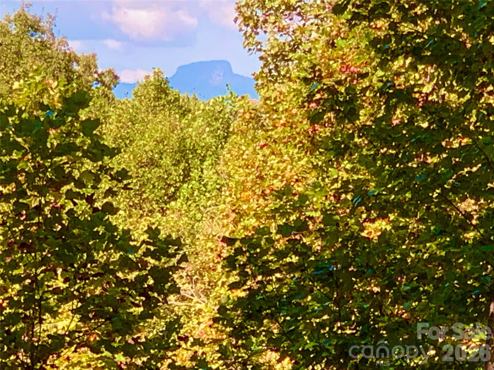 1.85 Acres, Lot 925 High Valley Way 925 Property Photo 8