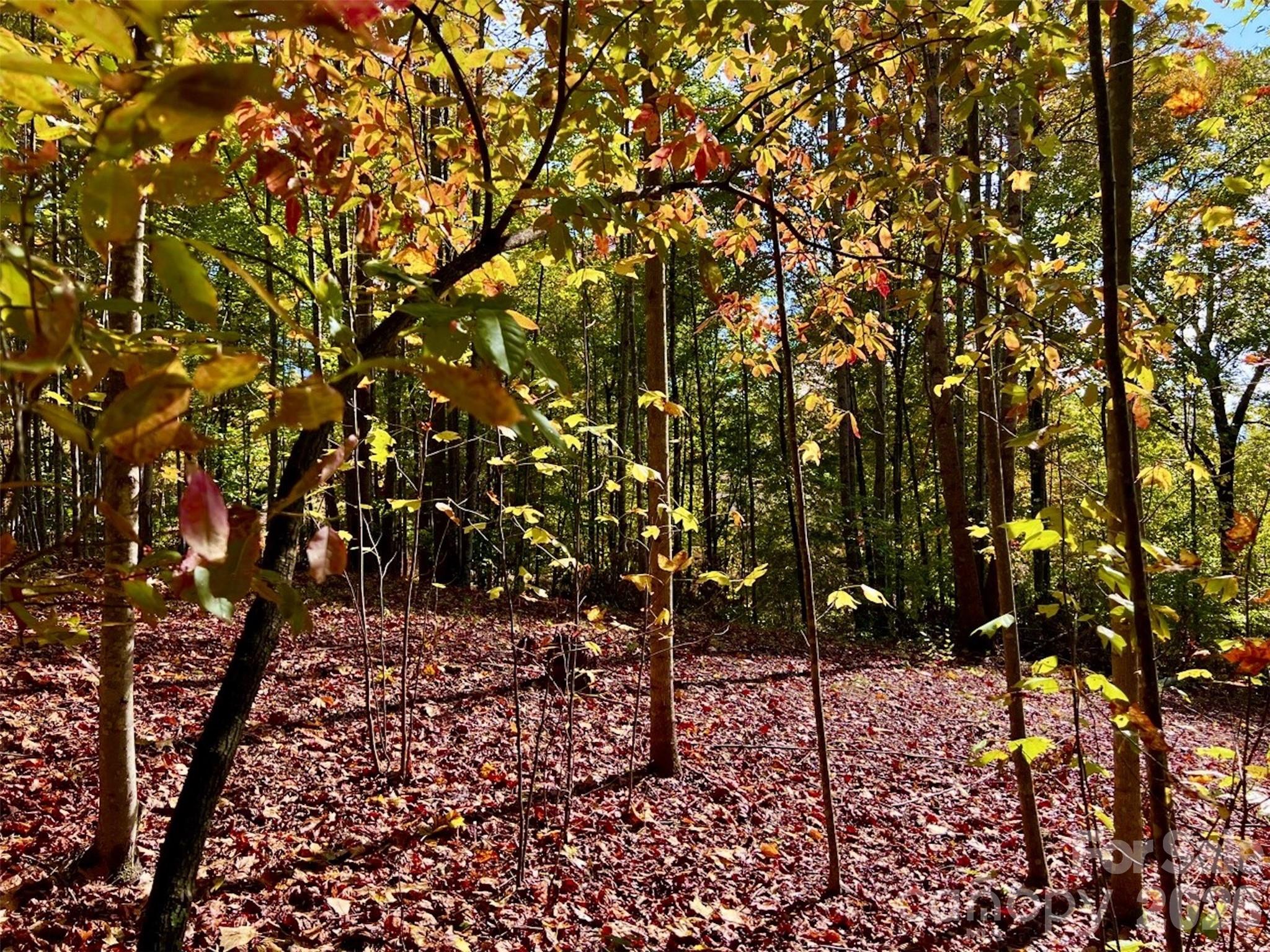 1.85 Acres, Lot 925 High Valley Way 925 Property Photo 9