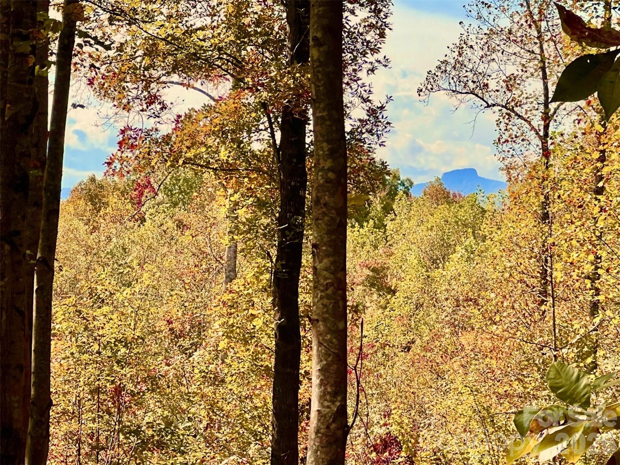 1.85 Acres, Lot 925 High Valley Way 925 Property Photo 10