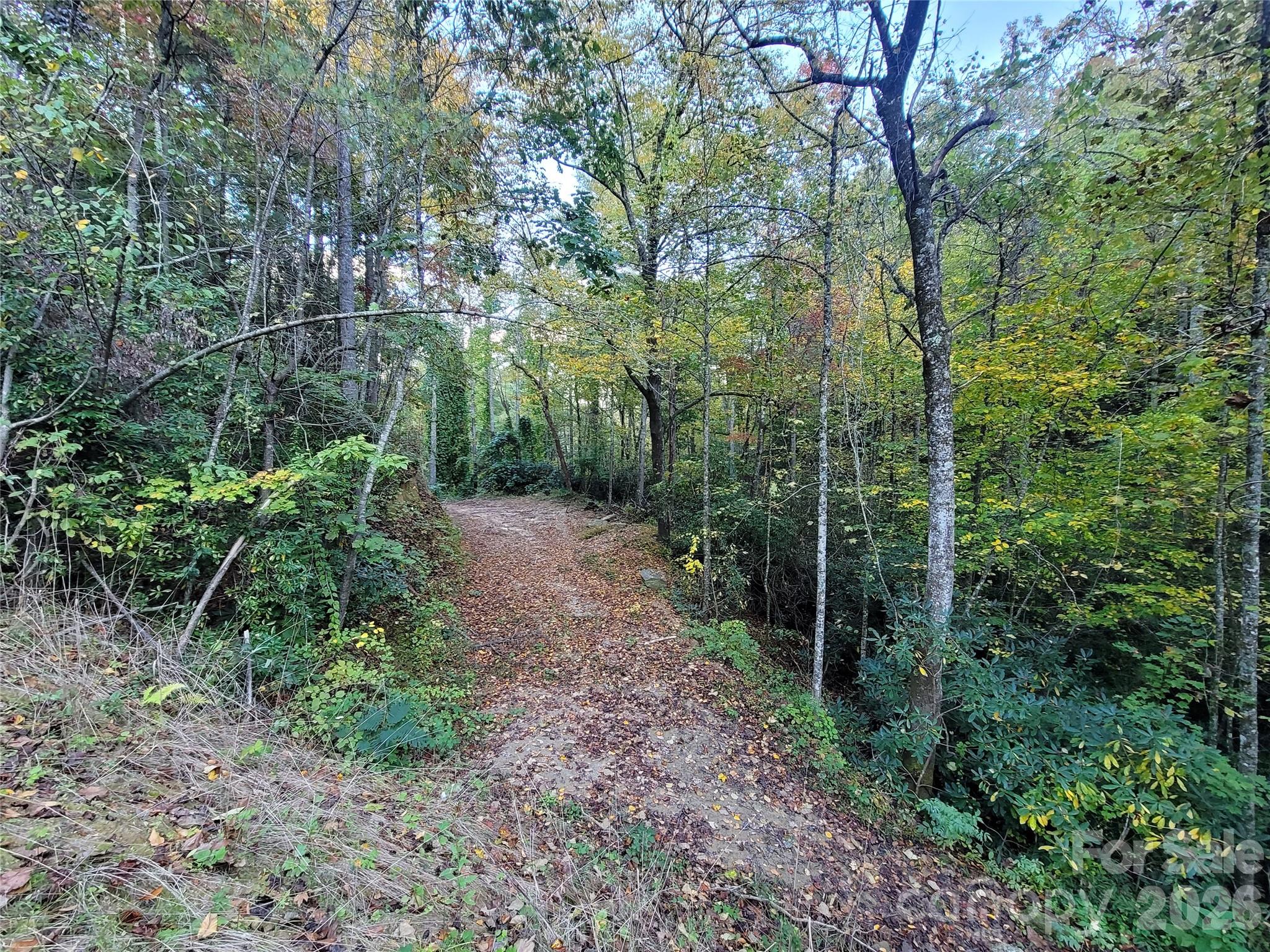 0 Big Hungry Road Property Photo 12