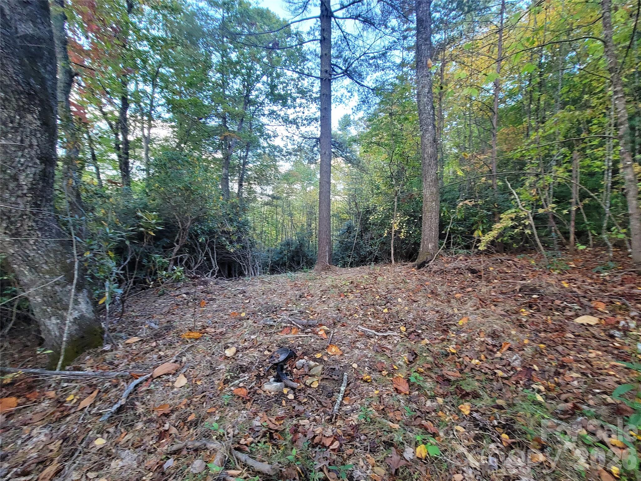 0 Big Hungry Road Property Photo 13