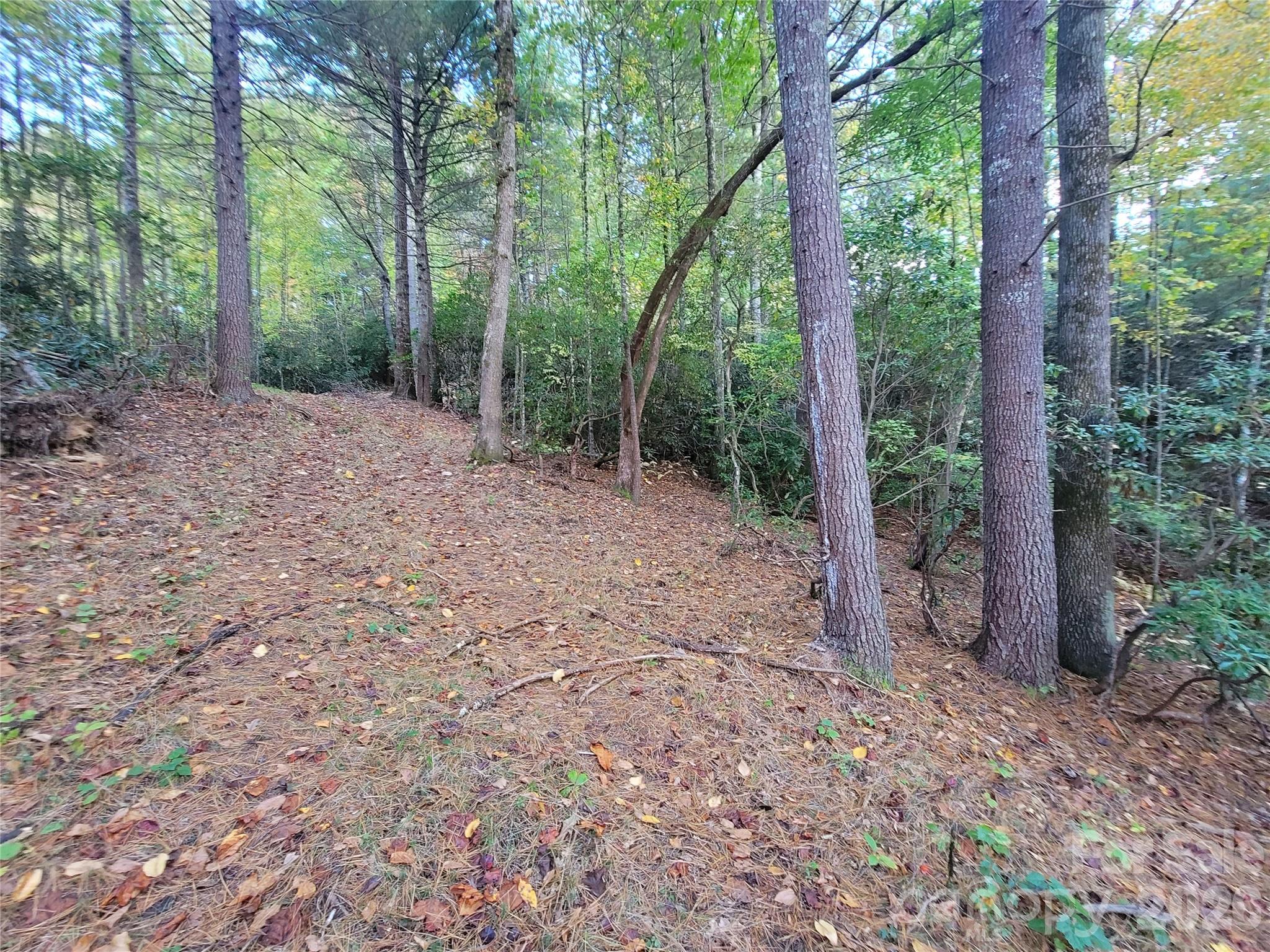 0 Big Hungry Road Property Photo 26