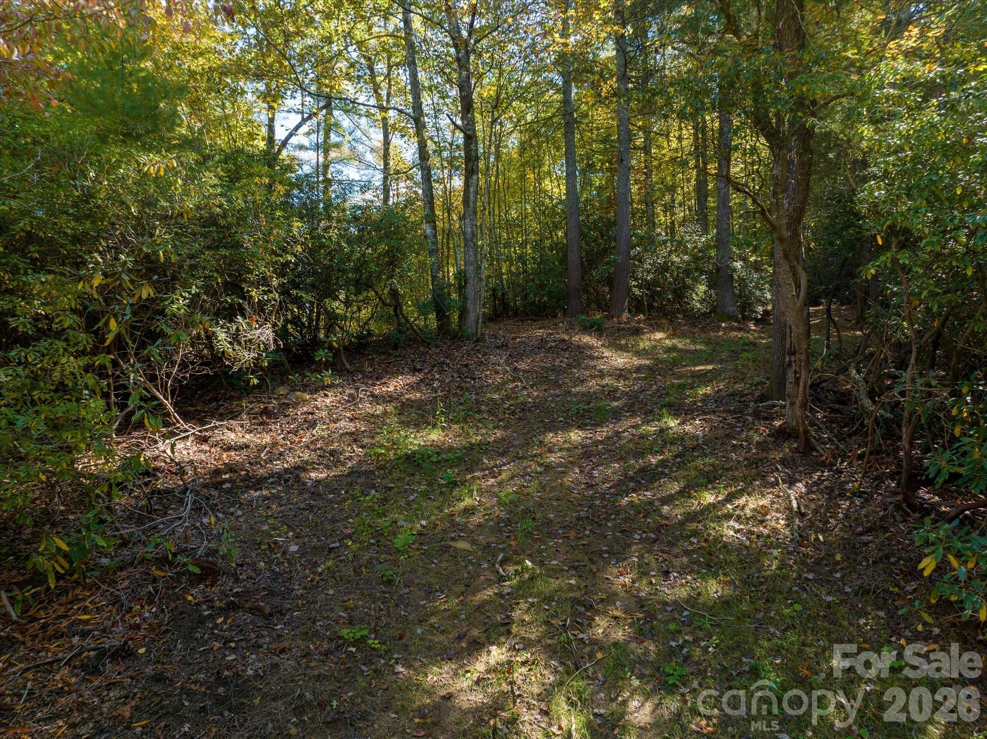 0 Big Hungry Road Property Photo 30