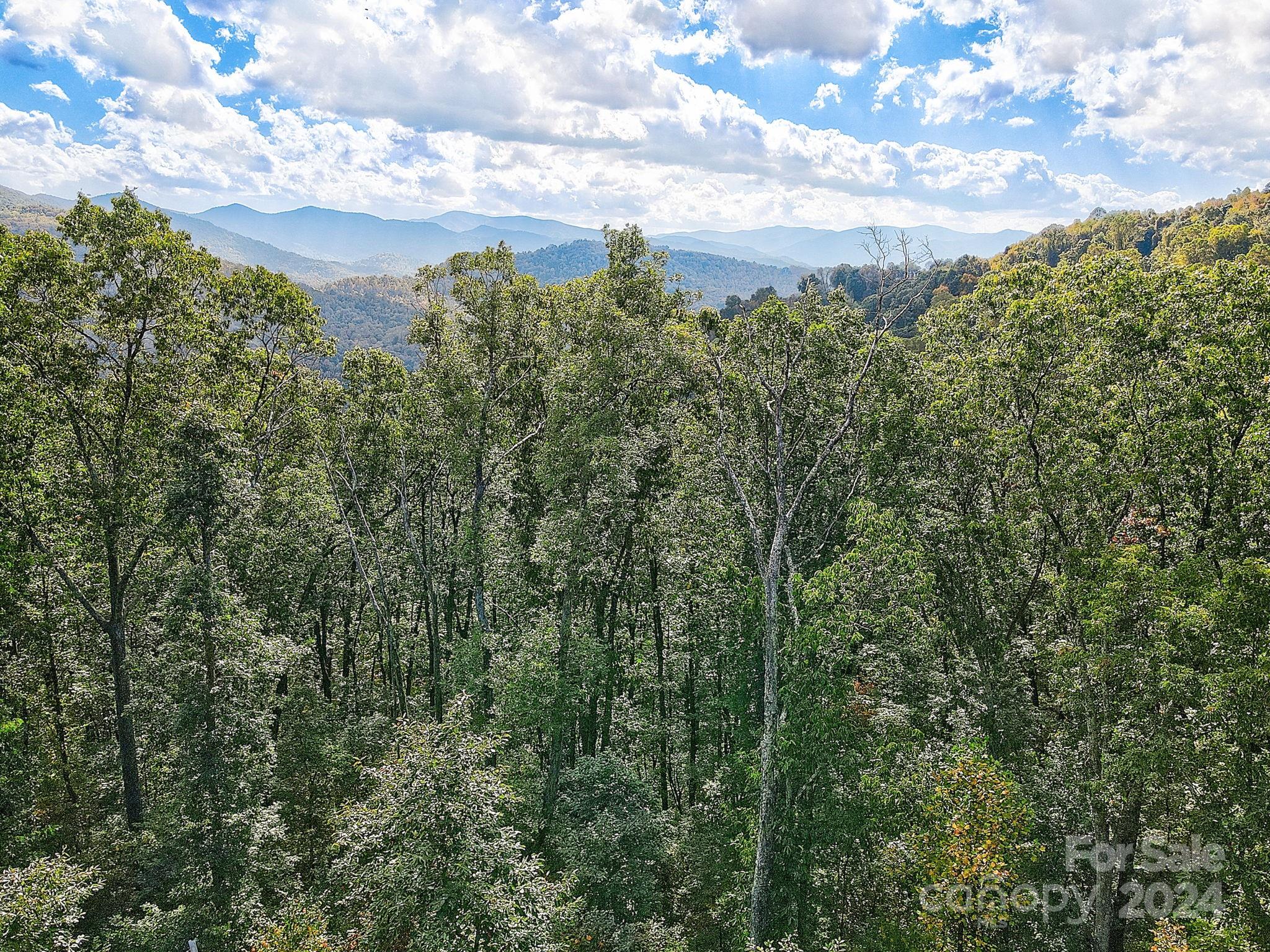 000 High Rock View Drive 32 Property Photo 11