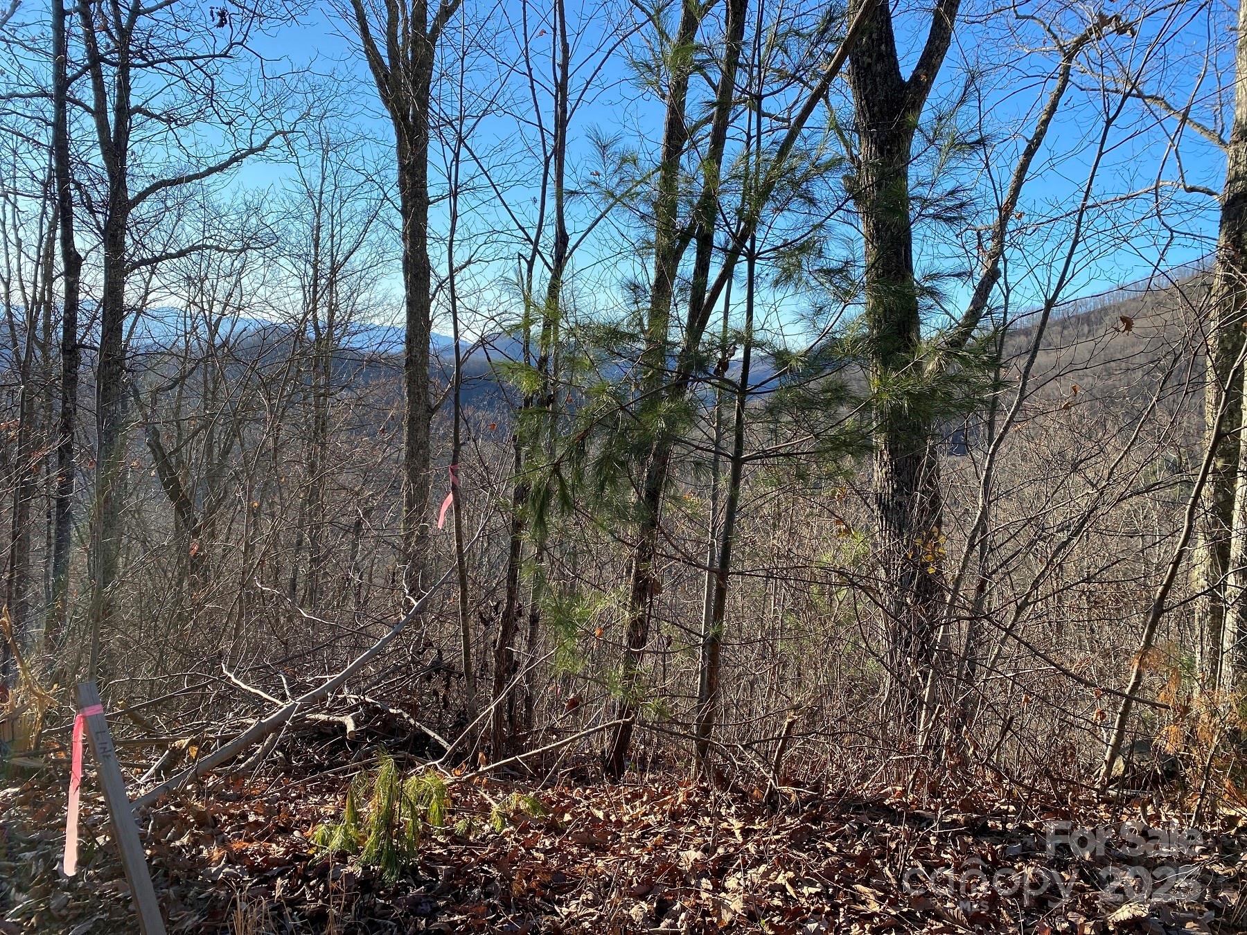 0 Hickory Nut Trail 61 Property Photo