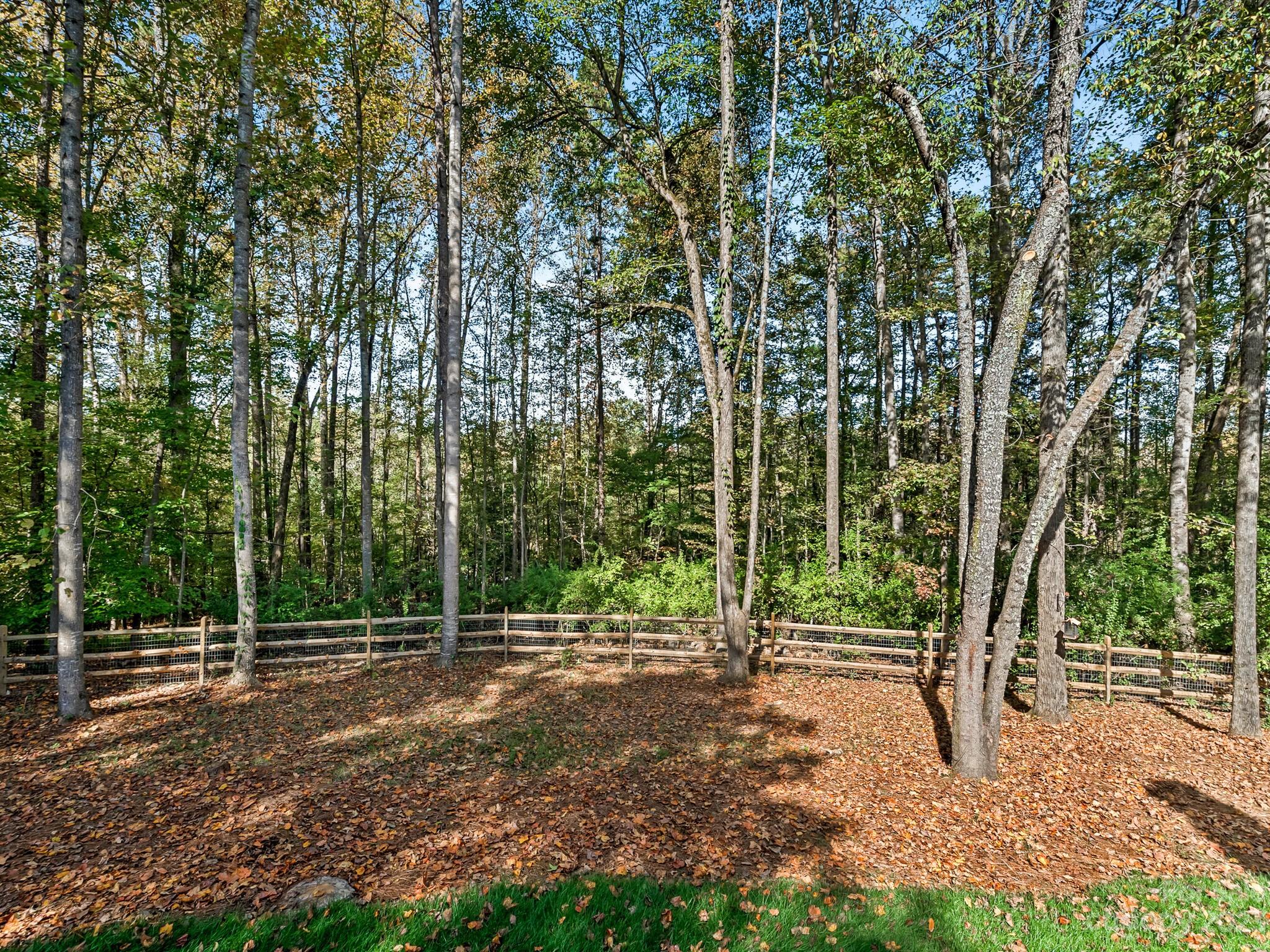 6104 Oxwynn Lane Property Photo 27