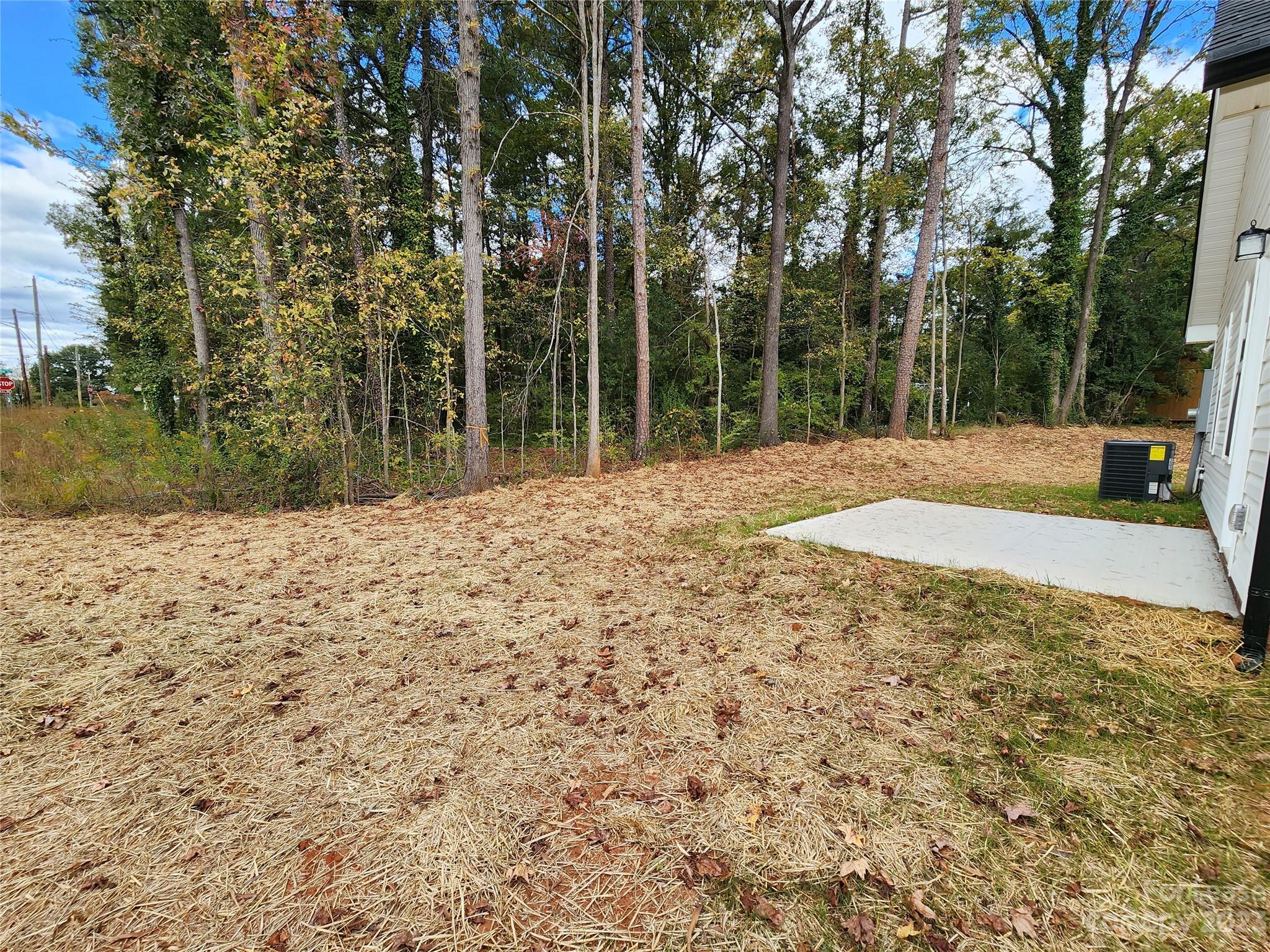 30 Stricker Avenue Property Photo 25