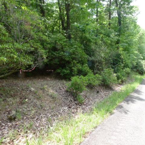 Lot 17 Mountain View Drive 17 Property Photo 1