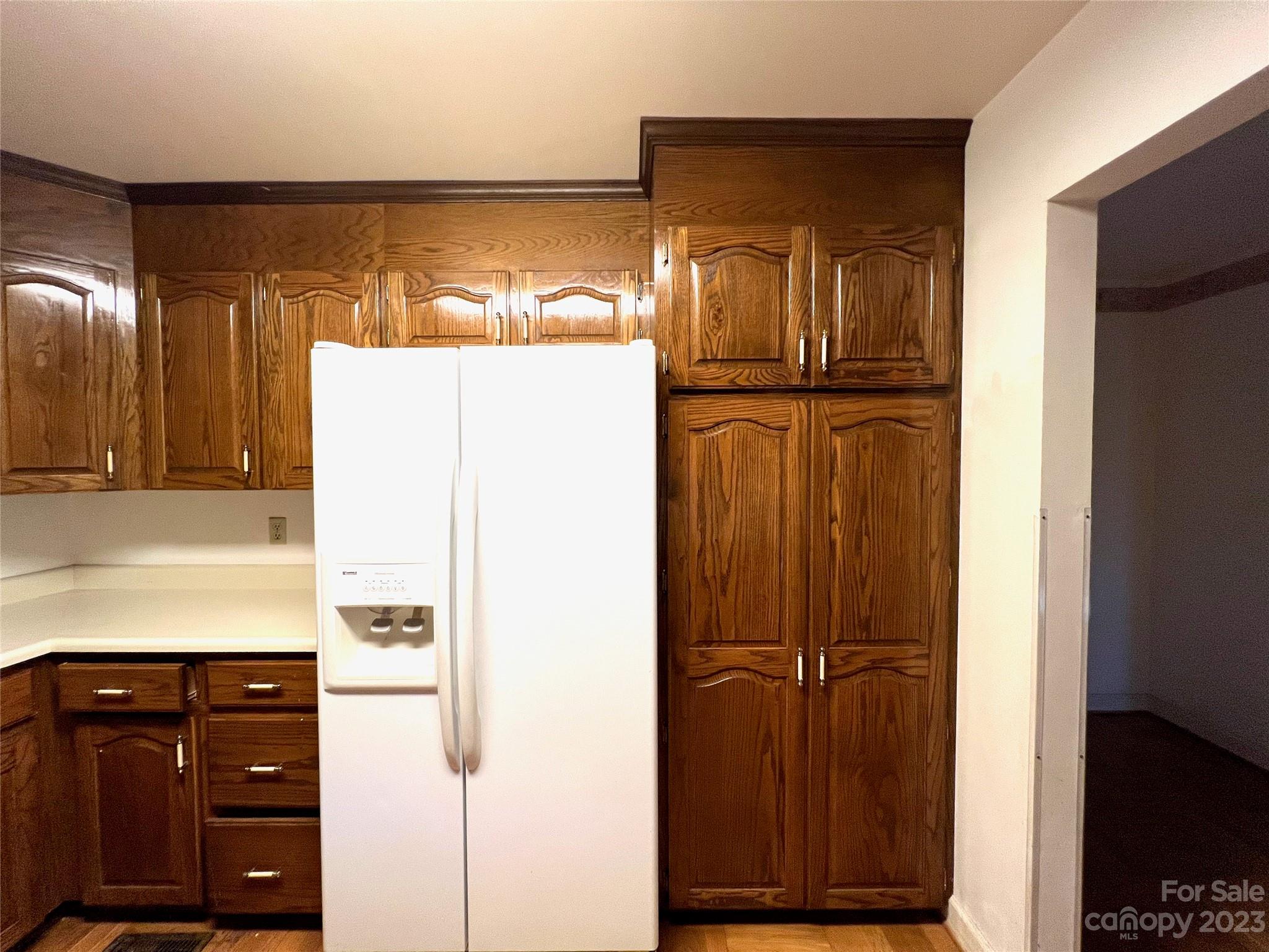 163 Dalonigei Court Property Photo 11