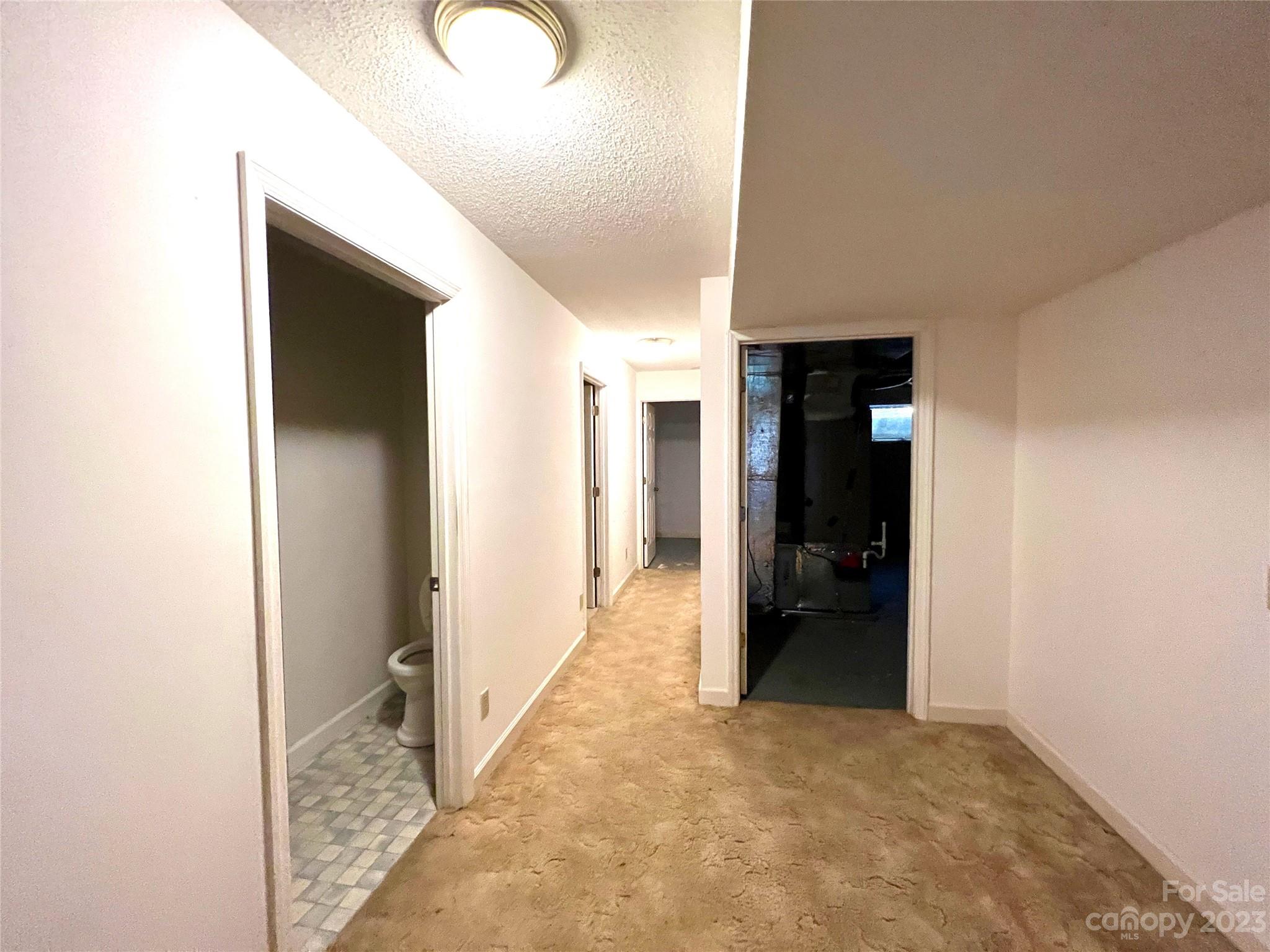 163 Dalonigei Court Property Photo 15