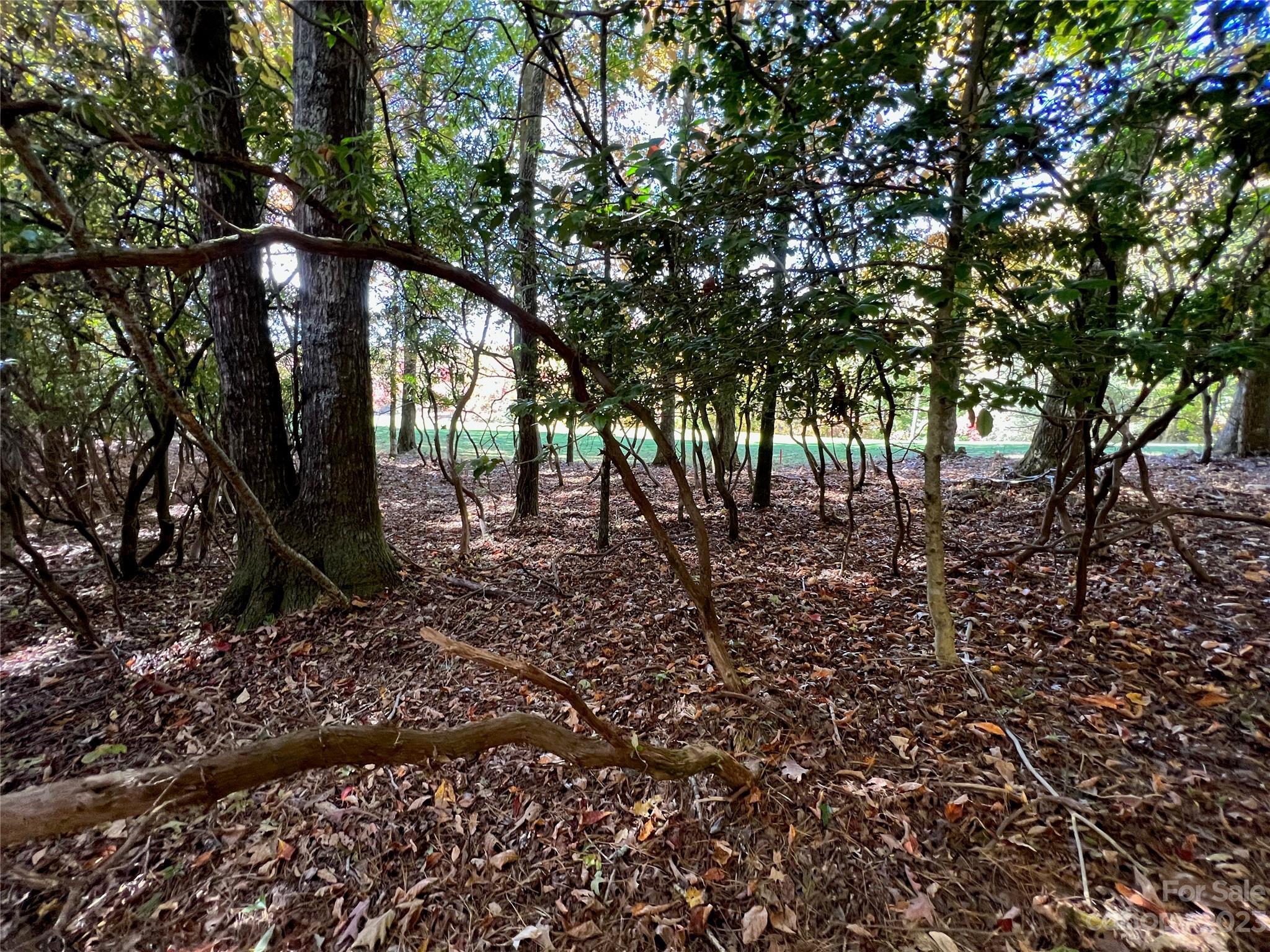 163 Dalonigei Court Property Photo 35